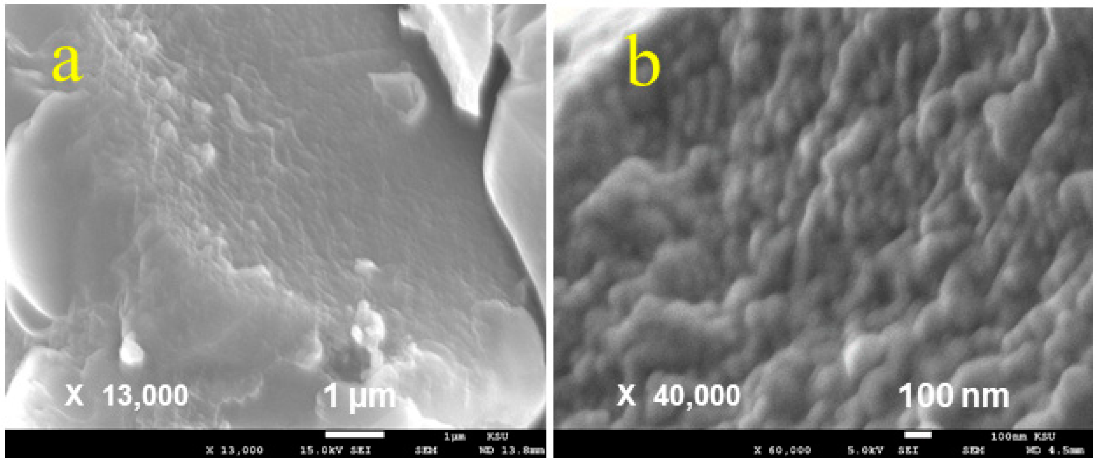 Polymers 12 02886 g005