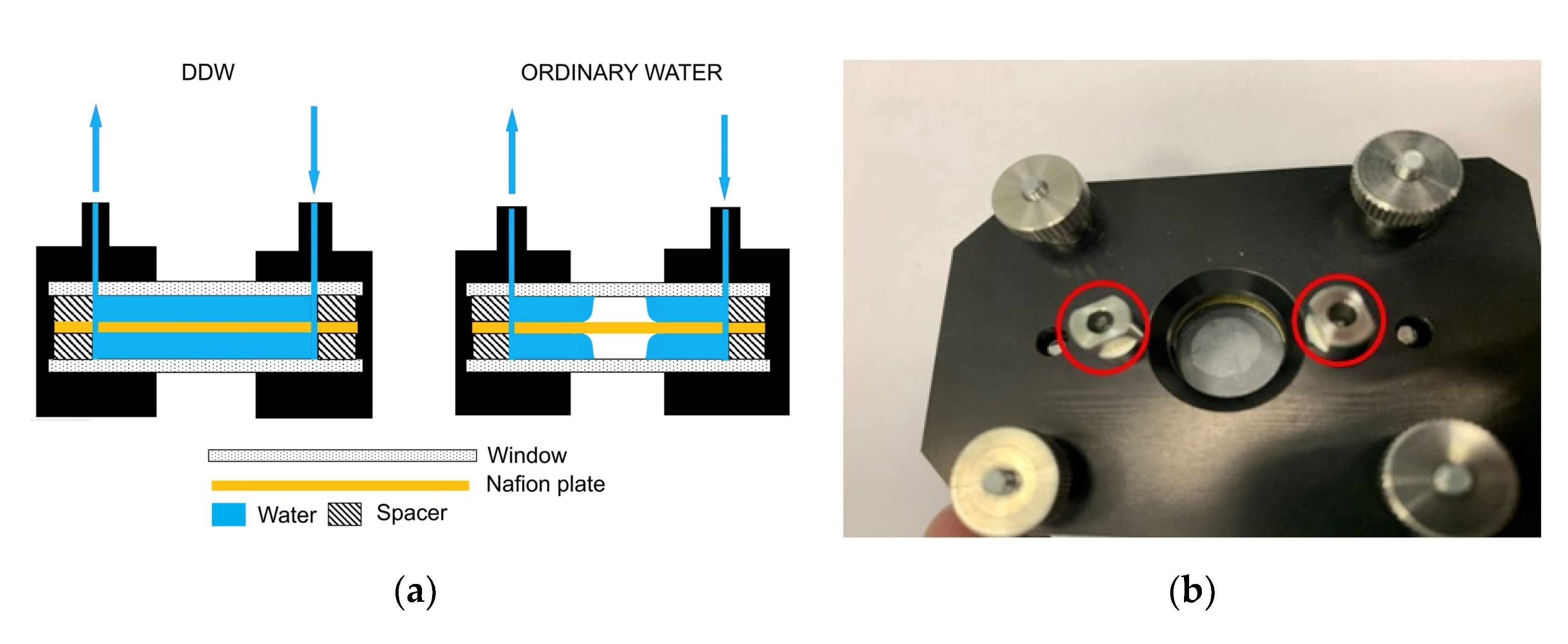 Polymers 12 02888 g002a