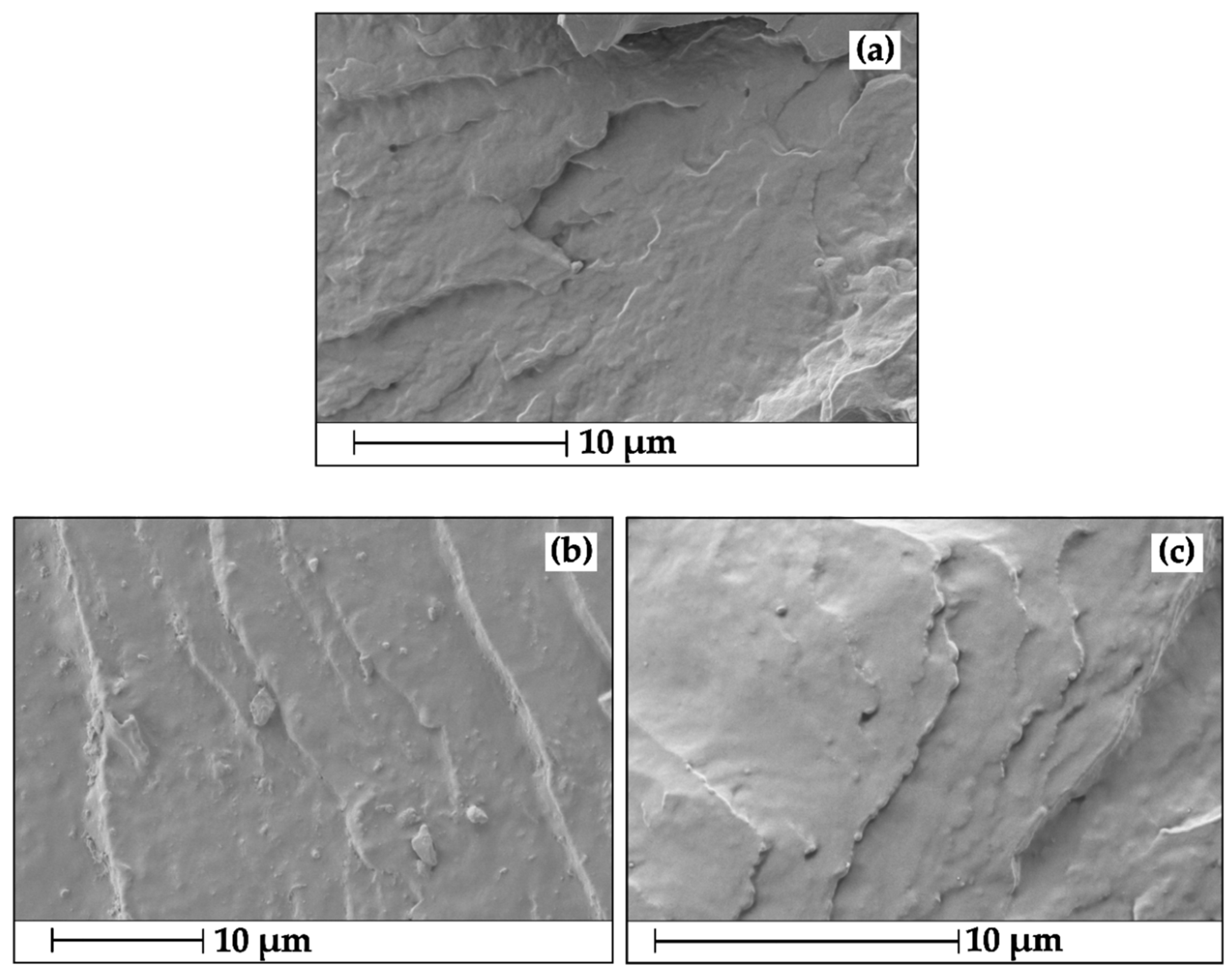 Polymers 12 02891 g002a