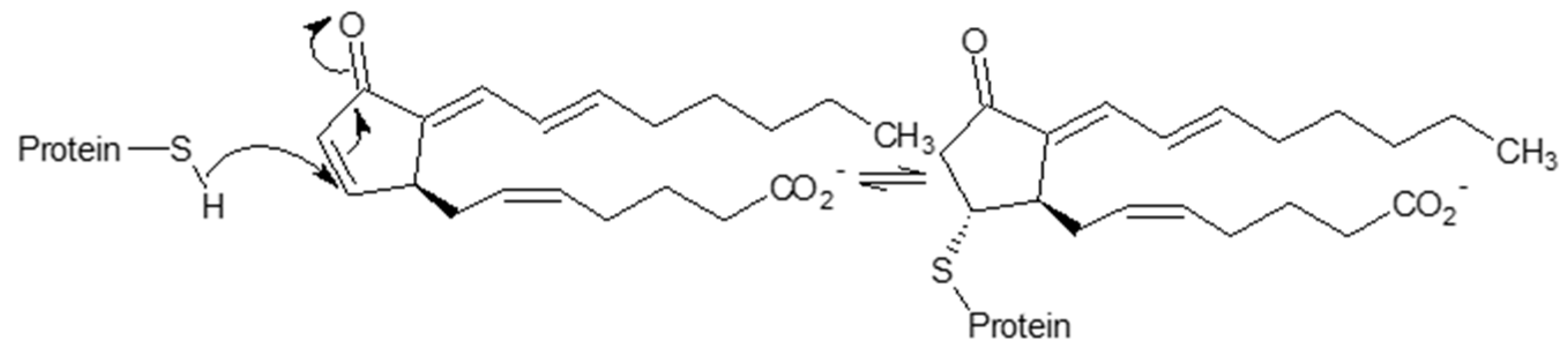 Polymers 12 02909 sch002 Polymers 12 02909 sch002