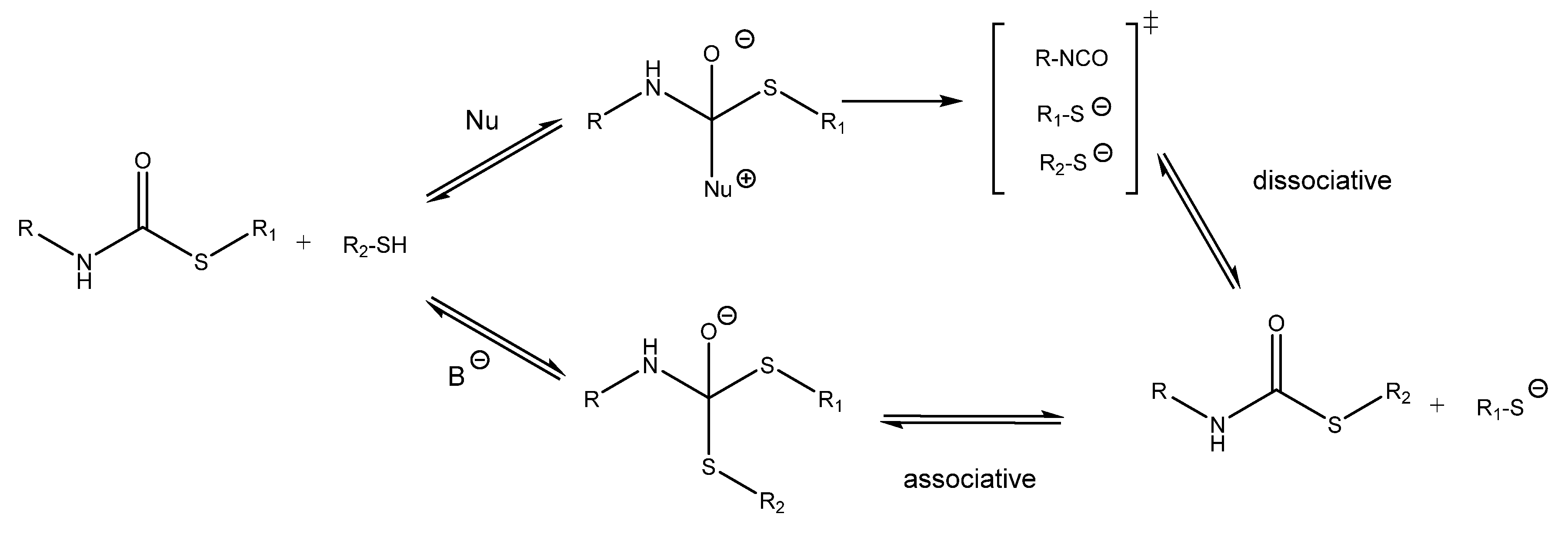 Polymers 12 02913 sch001 Polymers 12 02913 sch001
