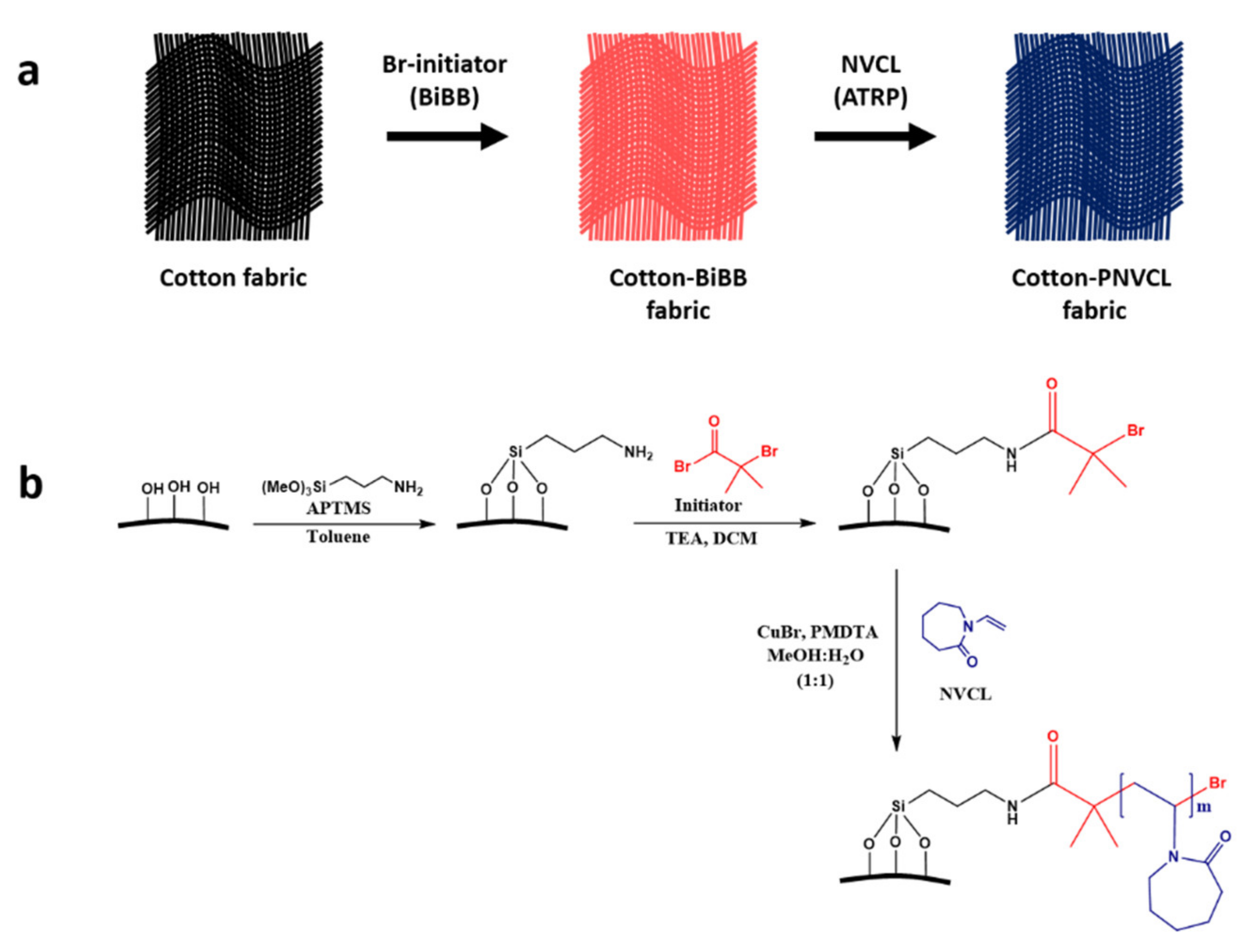 Polymers 12 02920 sch001 Polymers 12 02920 sch001