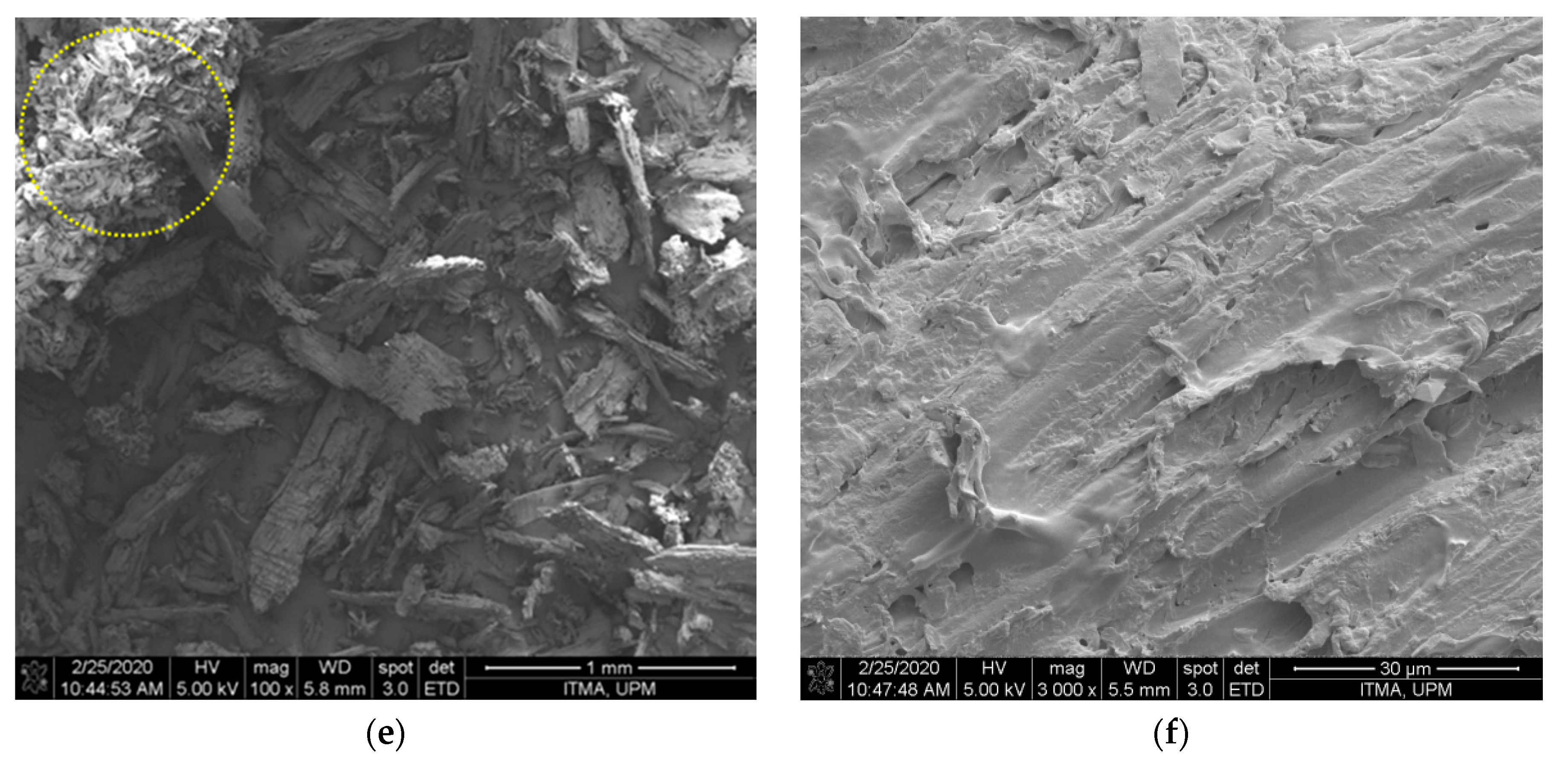 Polymers 12 02926 g001b