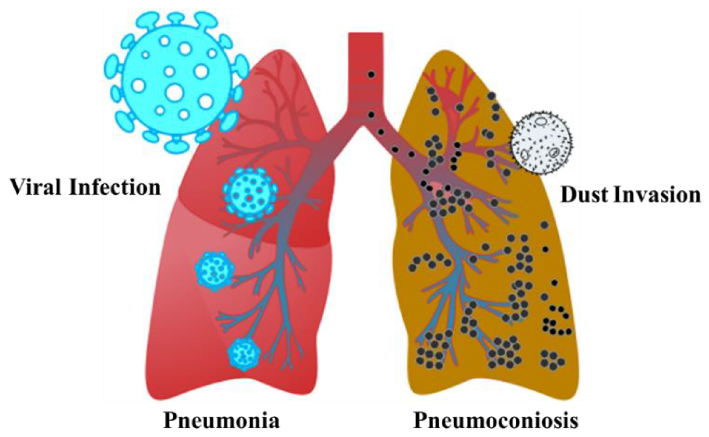 Polymers 12 02942 g001