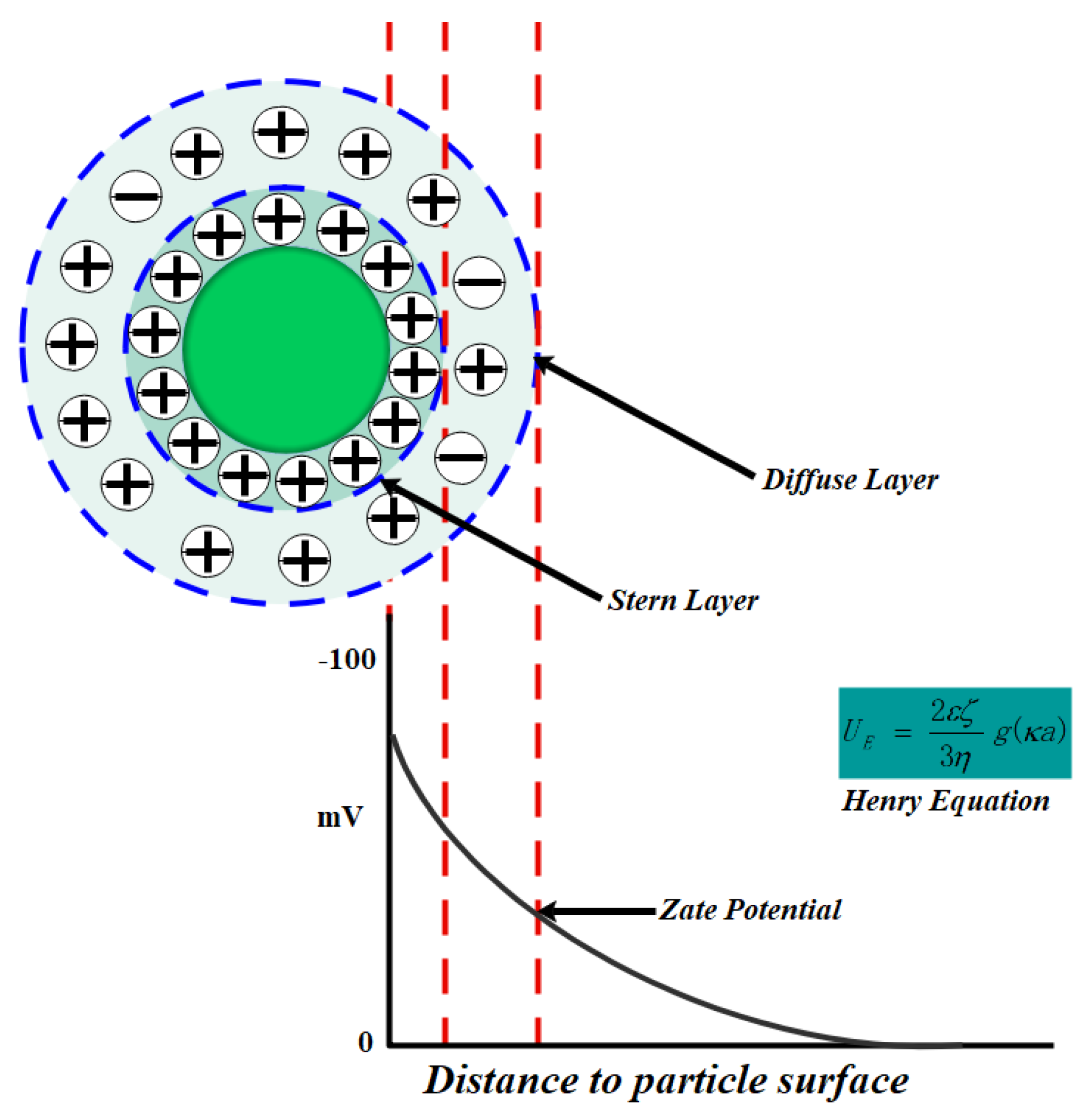 Polymers 12 02942 g007