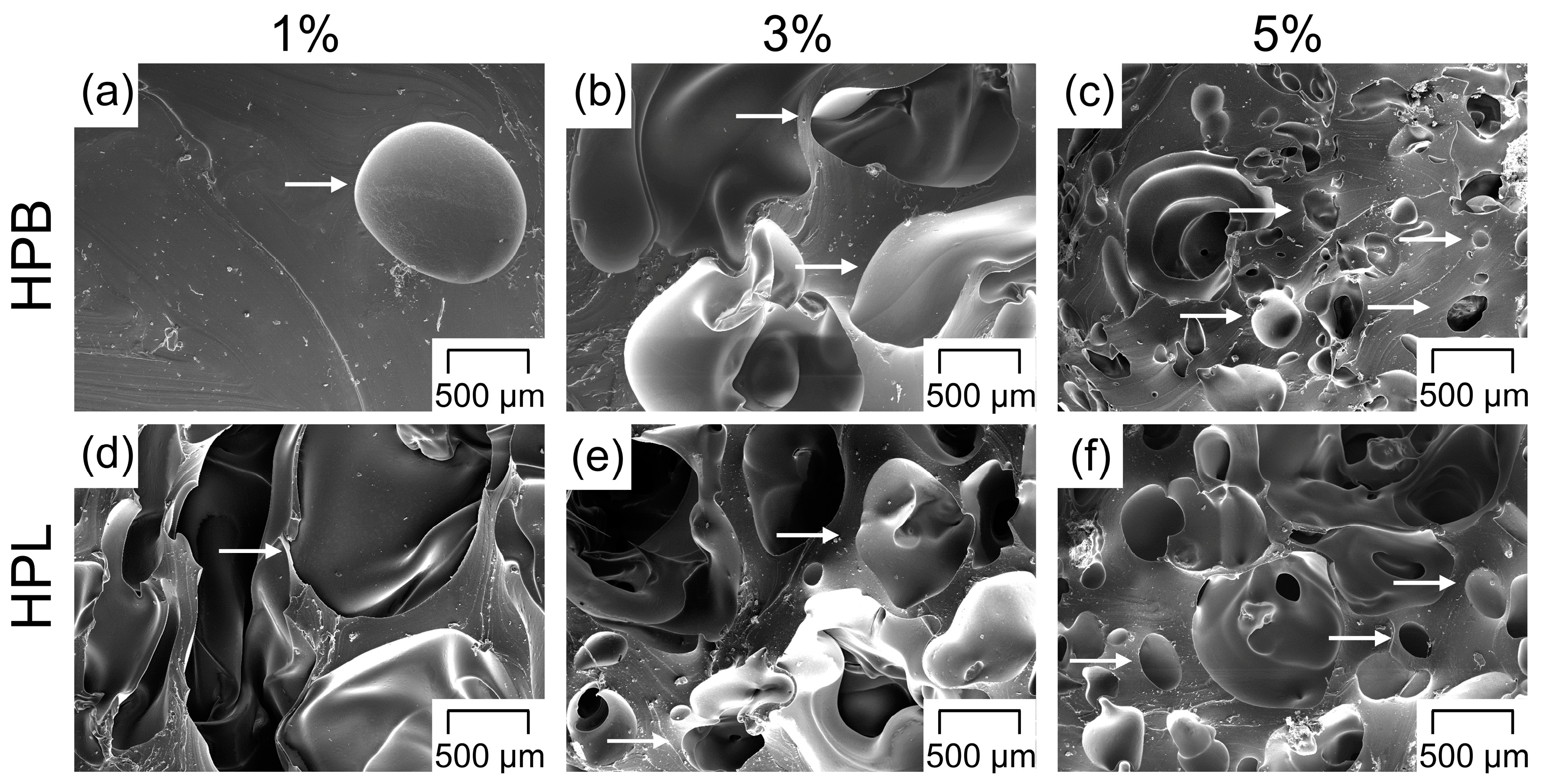 Polymers 12 02950 g004 Polymers 12 02950 g004