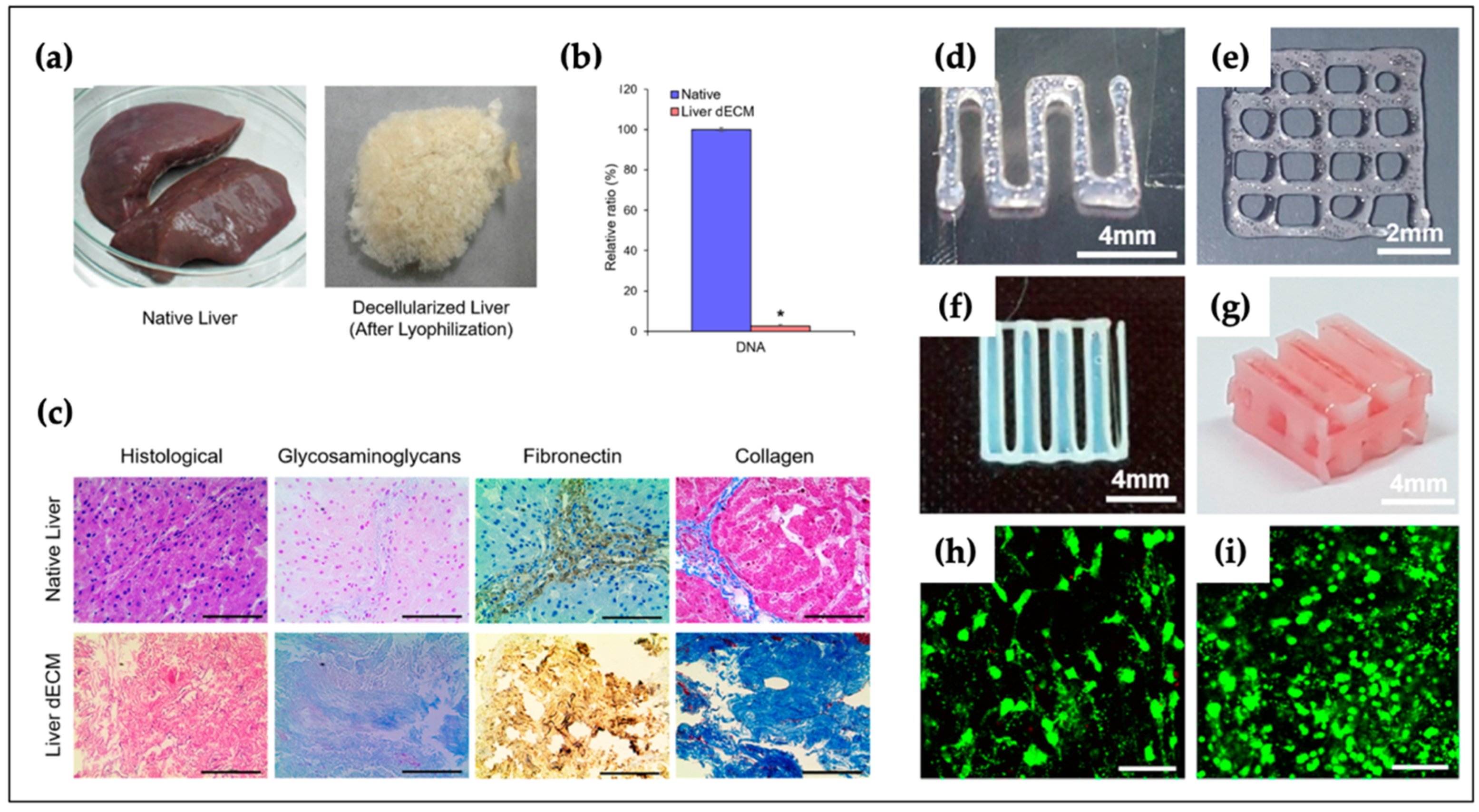 Polymers | Free Full-Text | Current Advances in 3D Bioprinting Technology  and Its Applications for Tissue Engineering | HTML
