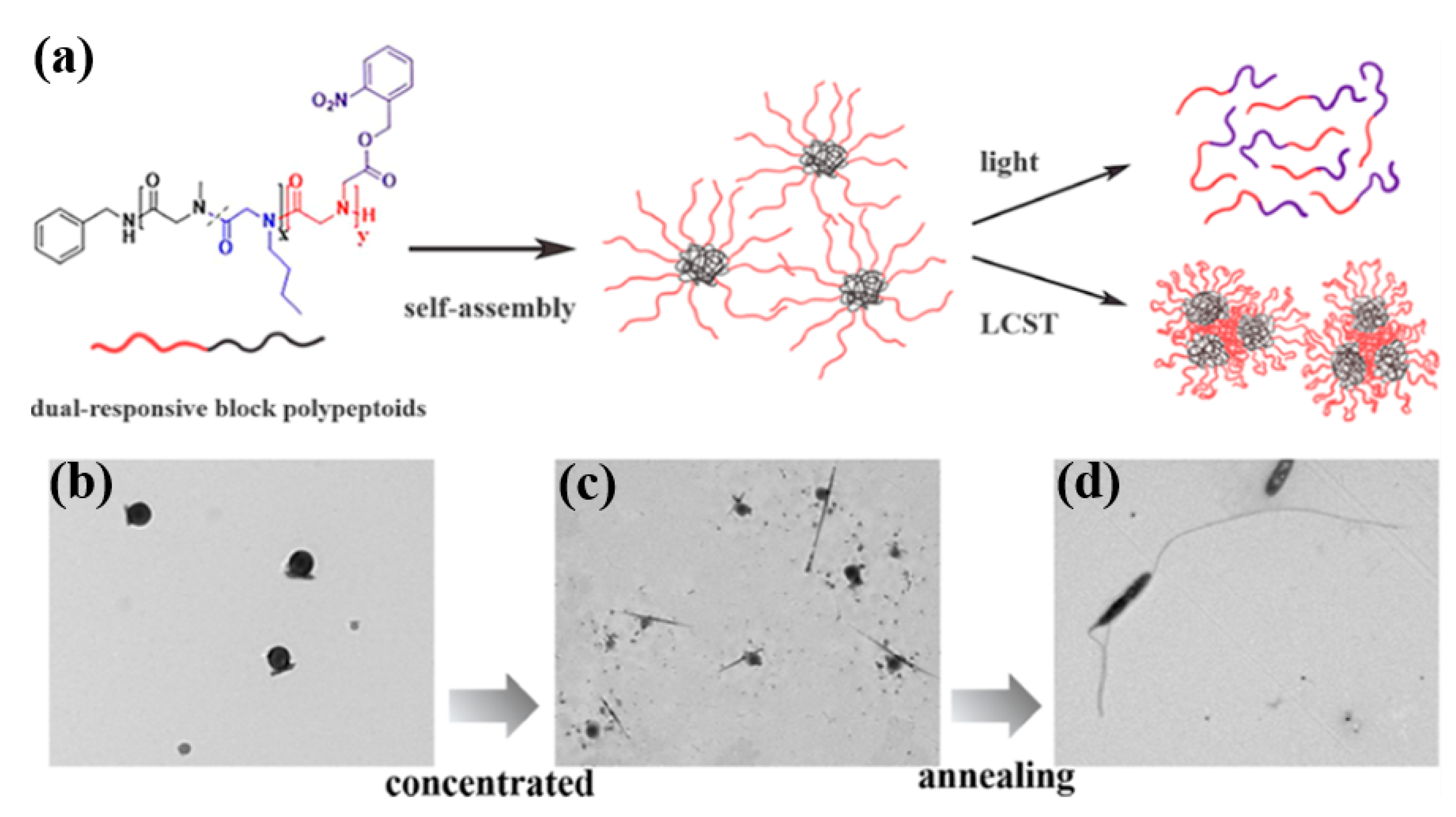 Polymers 12 02973 g009