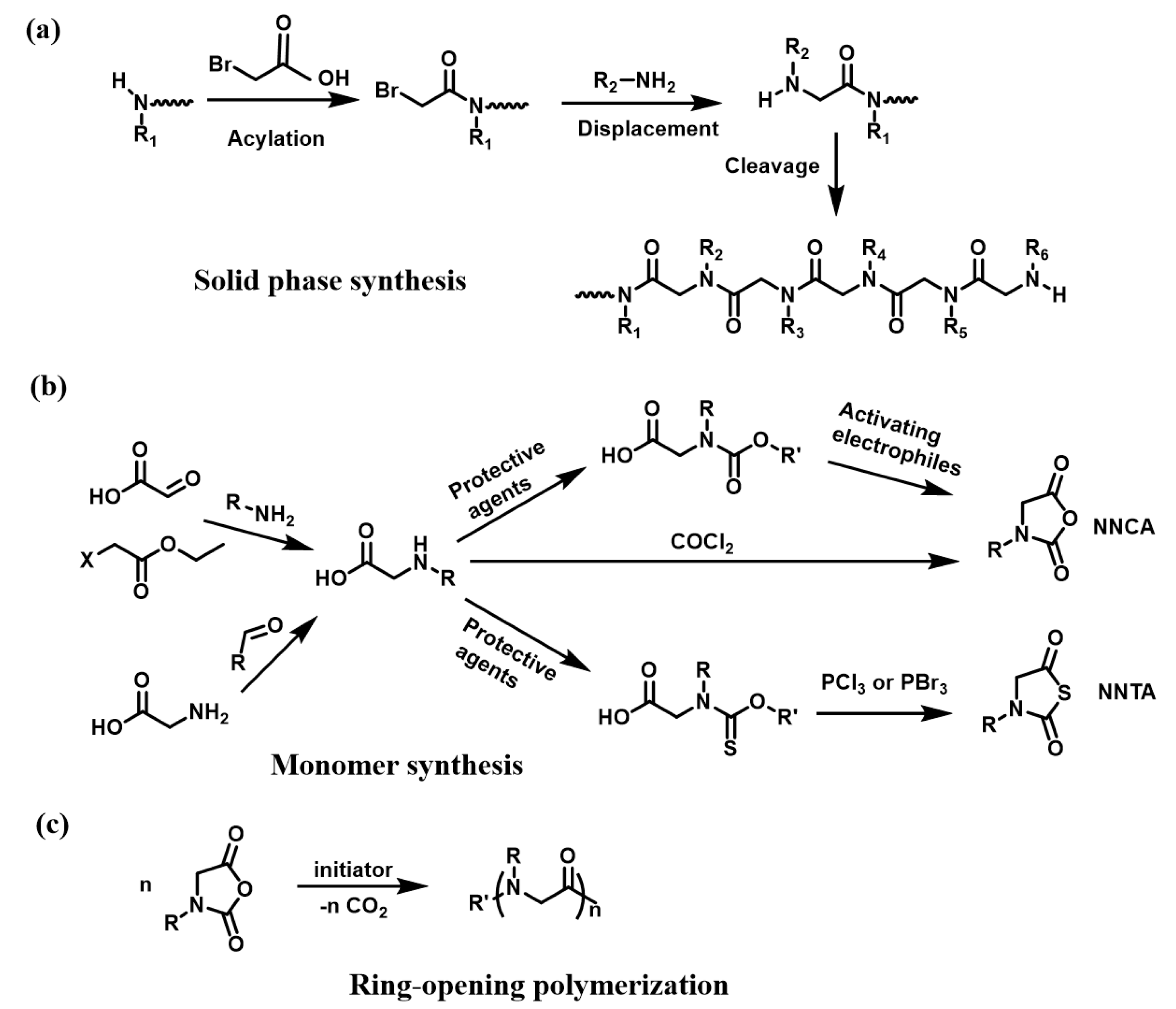 Polymers 12 02973 sch002