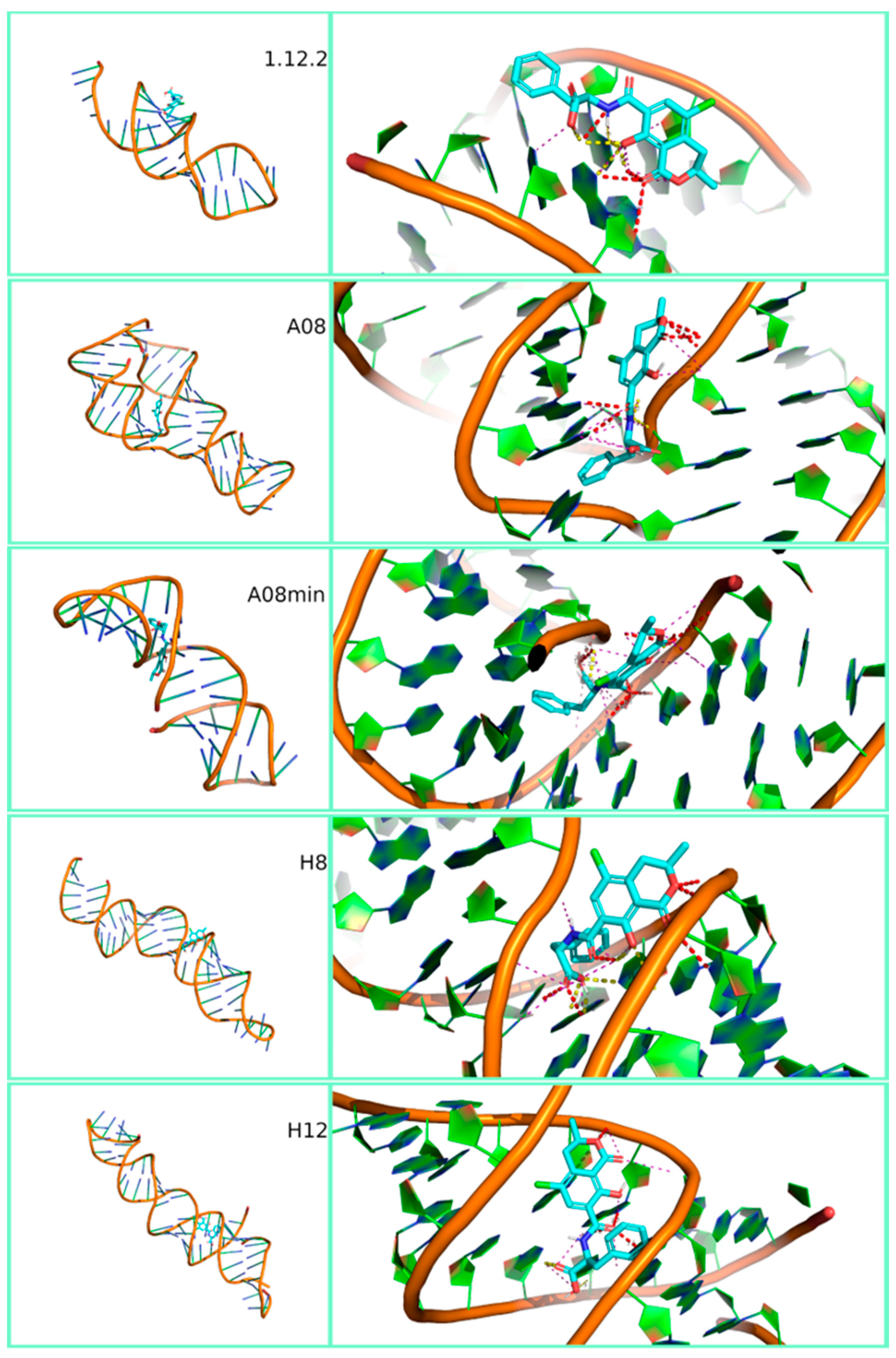 Polymers Free Full Text An In Silico Pipeline For Rapid Screening Of Dna Aptamers Against Mycotoxins The Case Study Of Fumonisin B1 Aflatoxin B1 And Ochratoxin A Html