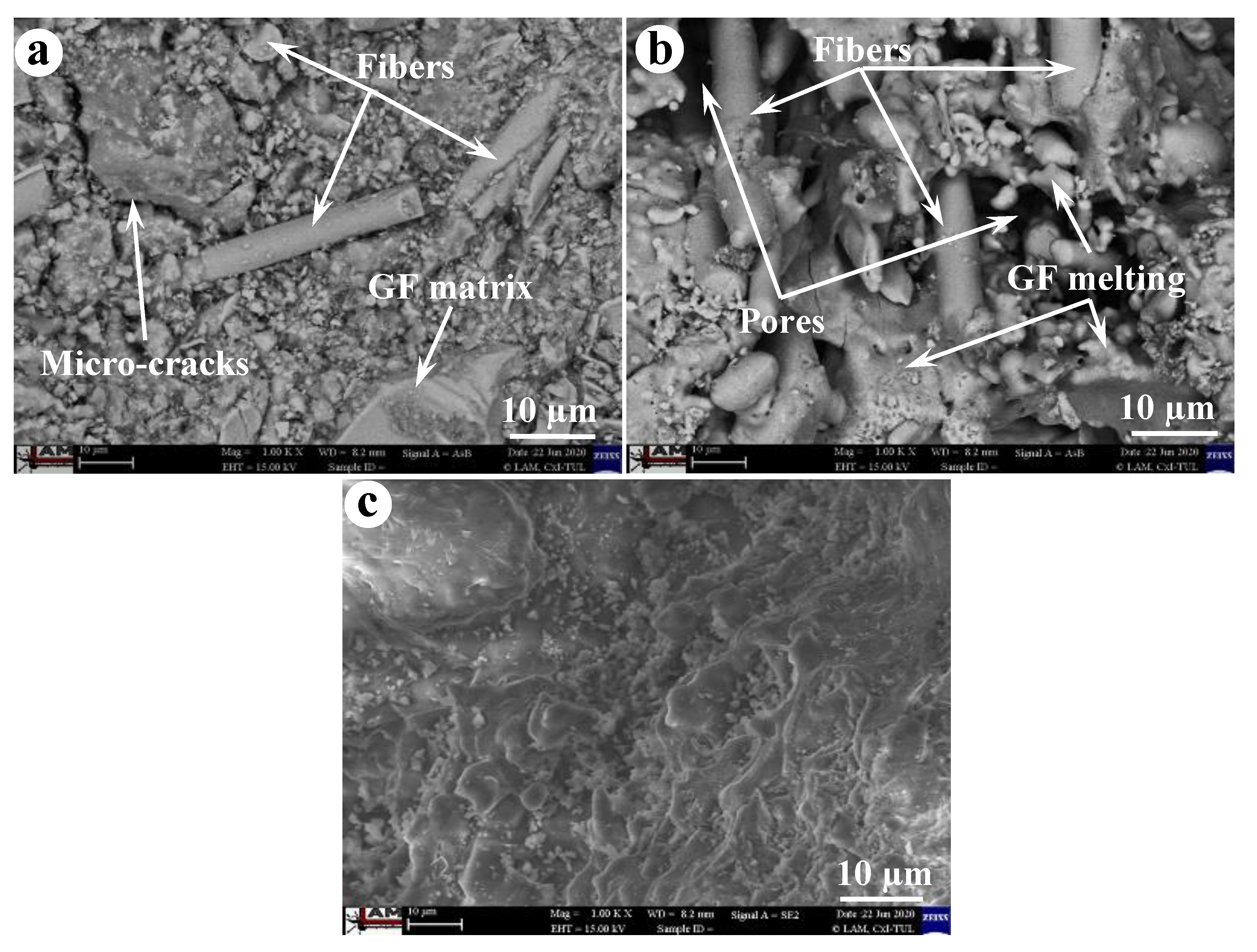 Polymers 12 02994 g008 Polymers 12 02994 g008