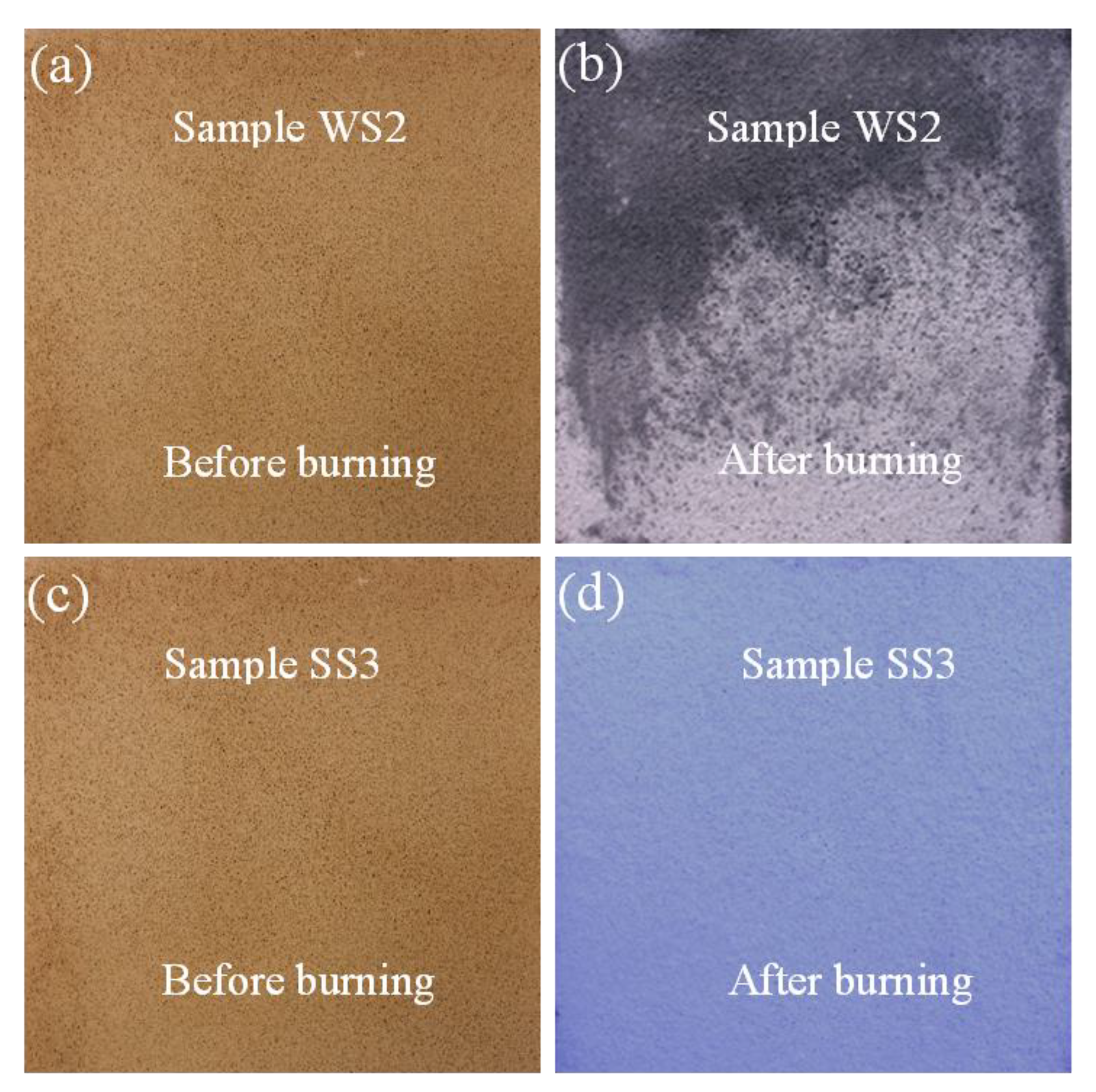Polymers 12 02994 g012 Polymers 12 02994 g012