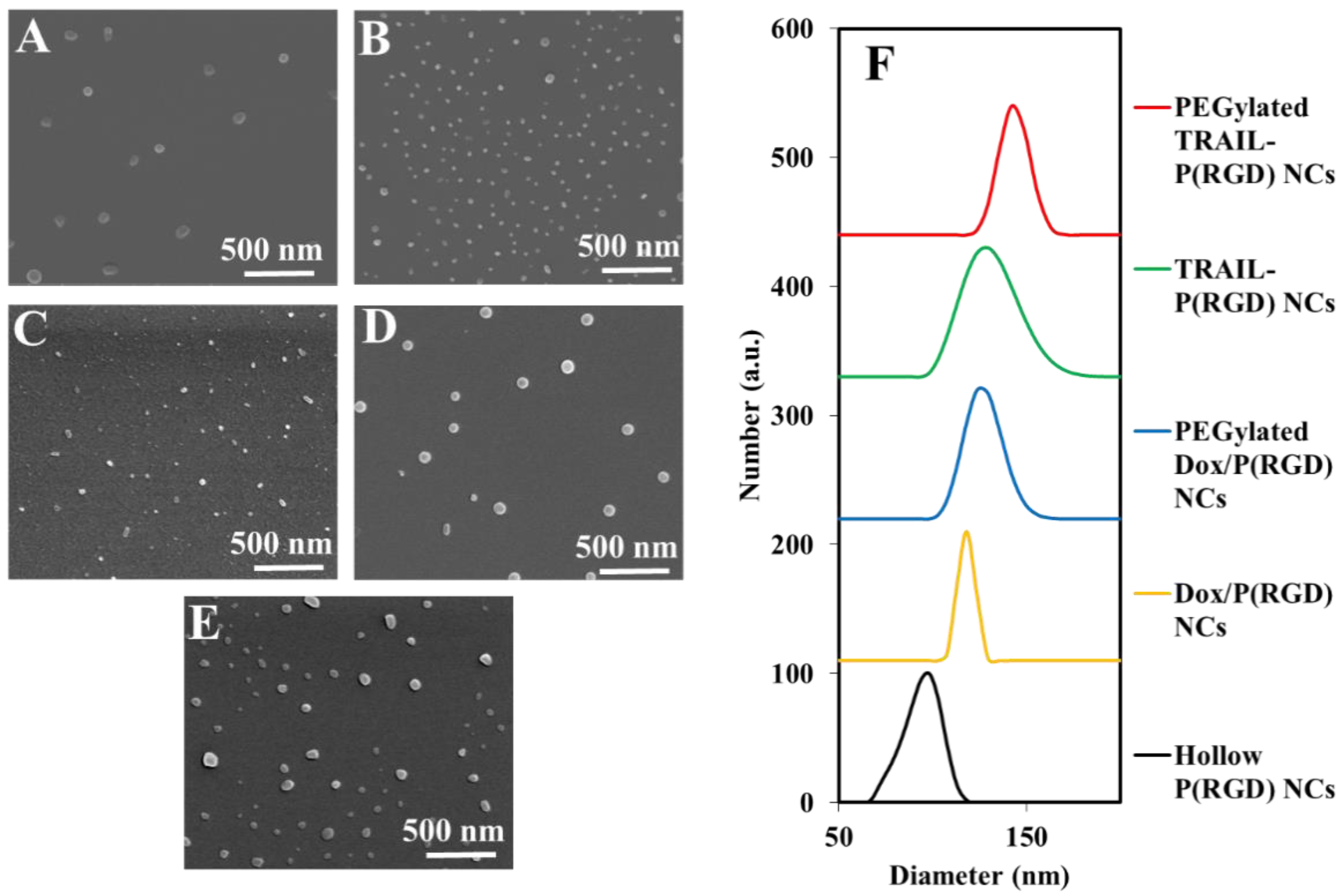 Polymers 12 02996 g002 Polymers 12 02996 g002