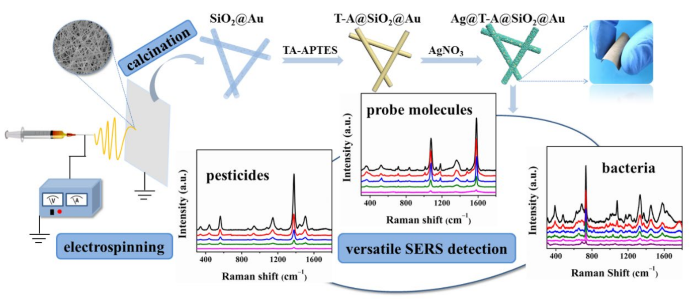 Au-Loaded Superparamagnetic Mesoporous Bimetallic CoFeB Nanovehicles for  Sensitive Autoantibody Detection