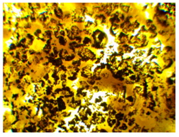 Polymers 13 00007 i001 Polymers 13 00007 i001