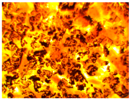 Polymers 13 00007 i002 Polymers 13 00007 i002