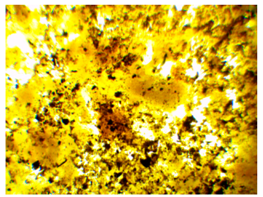 Polymers 13 00007 i005 Polymers 13 00007 i005