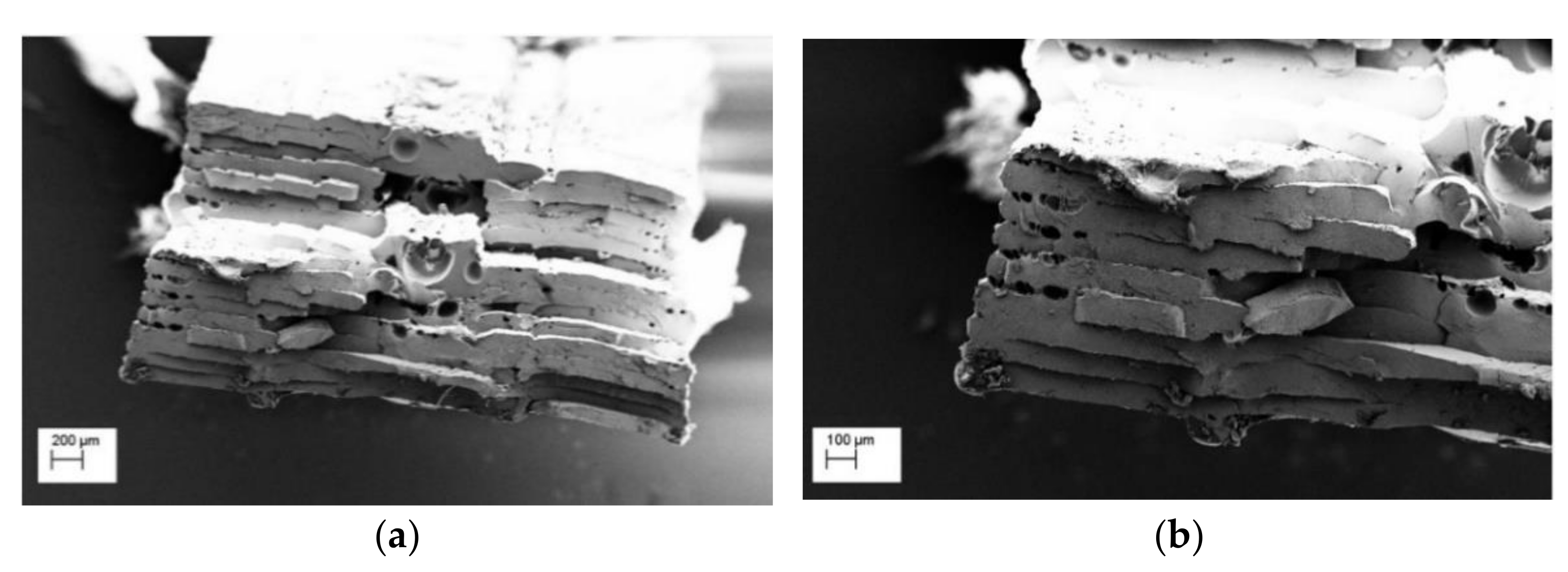 Polymers 13 00011 g007