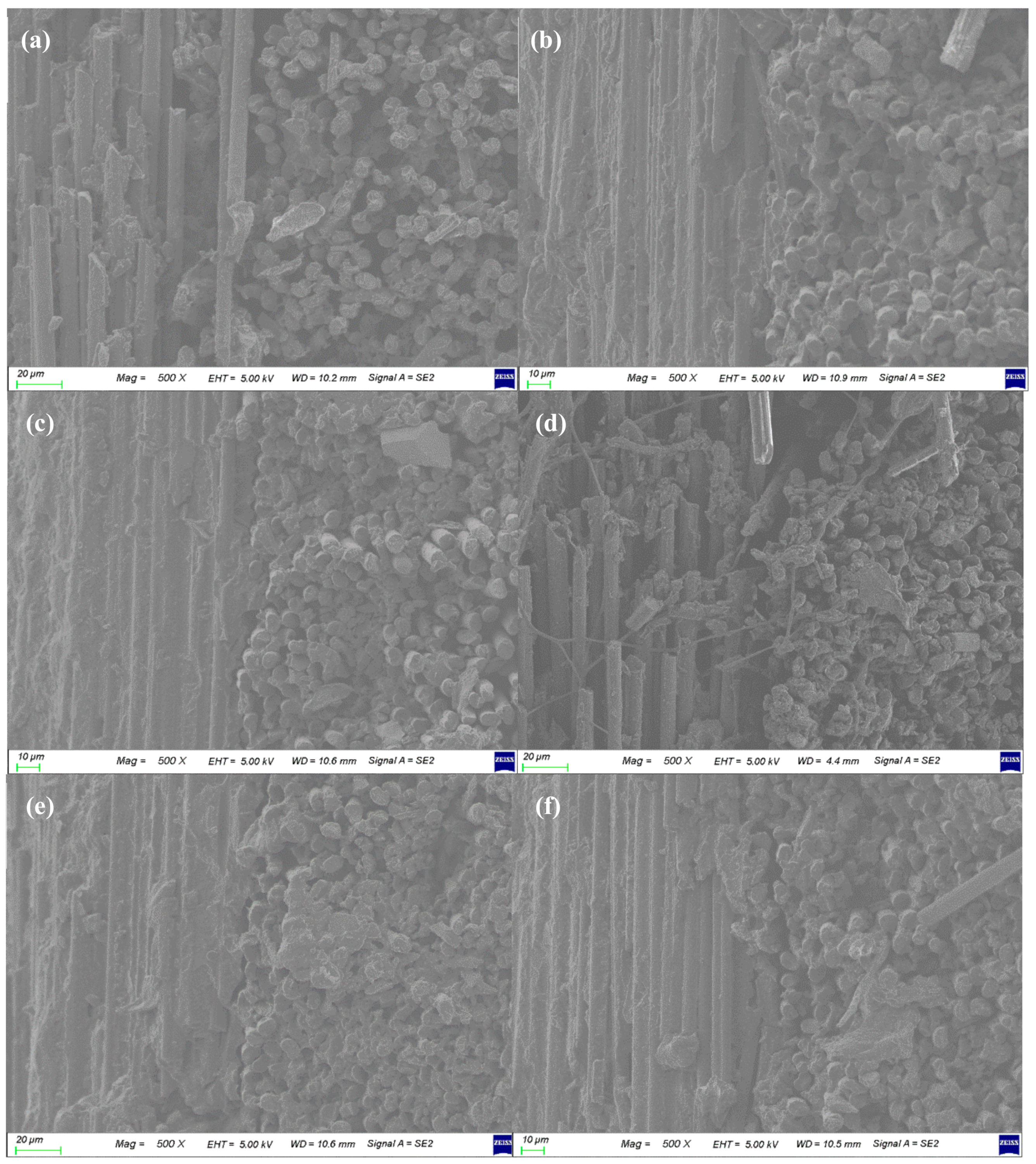 Polymers 13 00021 g010