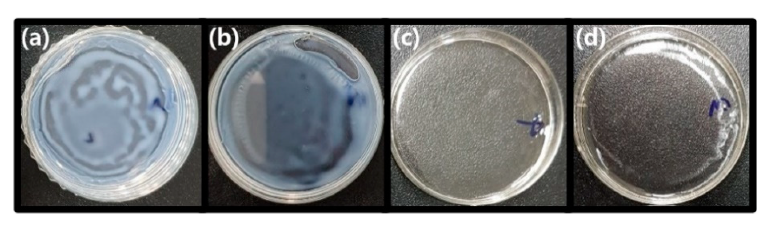 Polymers 13 00044 g002 Polymers 13 00044 g002