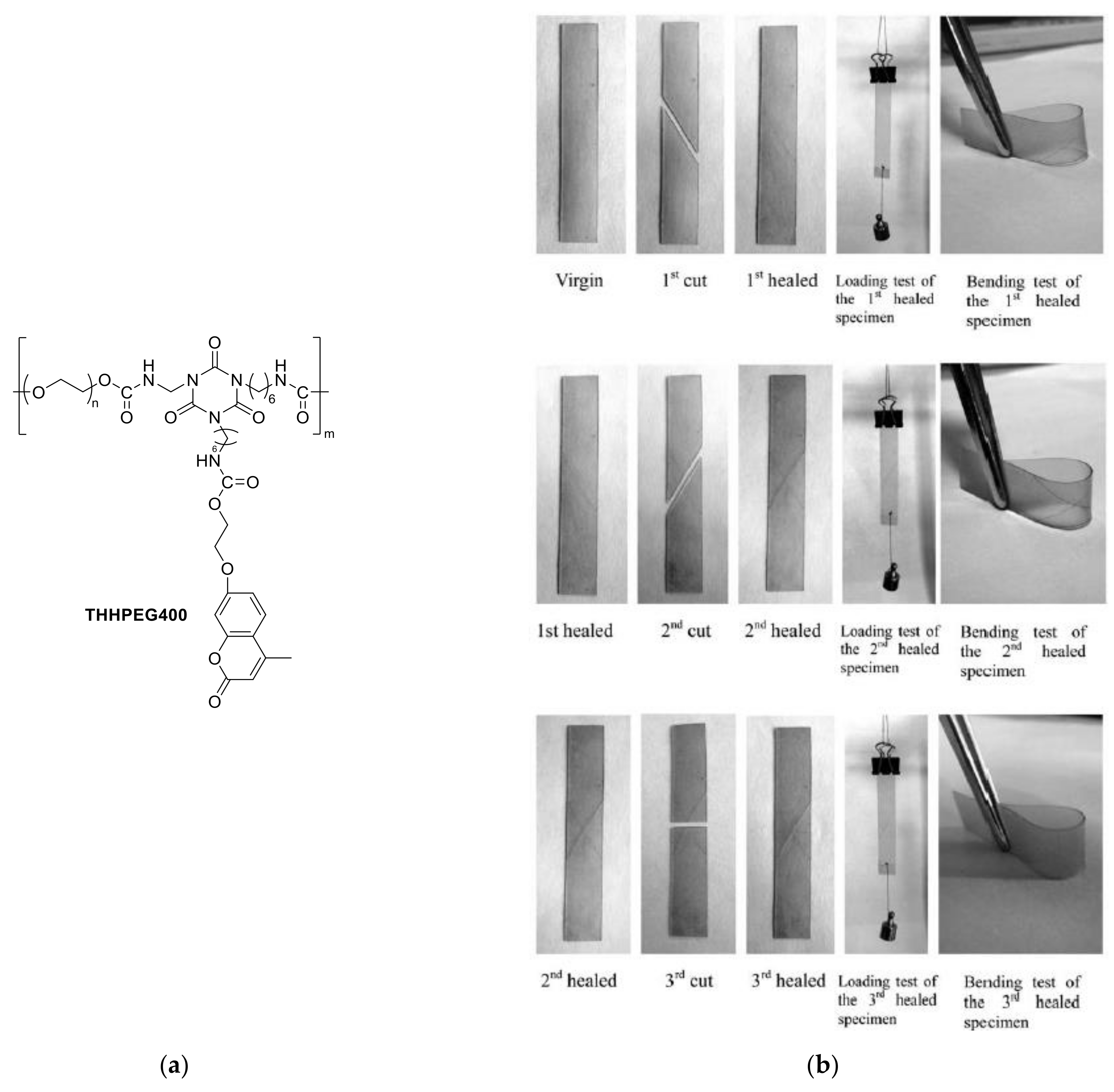 Polymers 13 00056 g035 Polymers 13 00056 g035