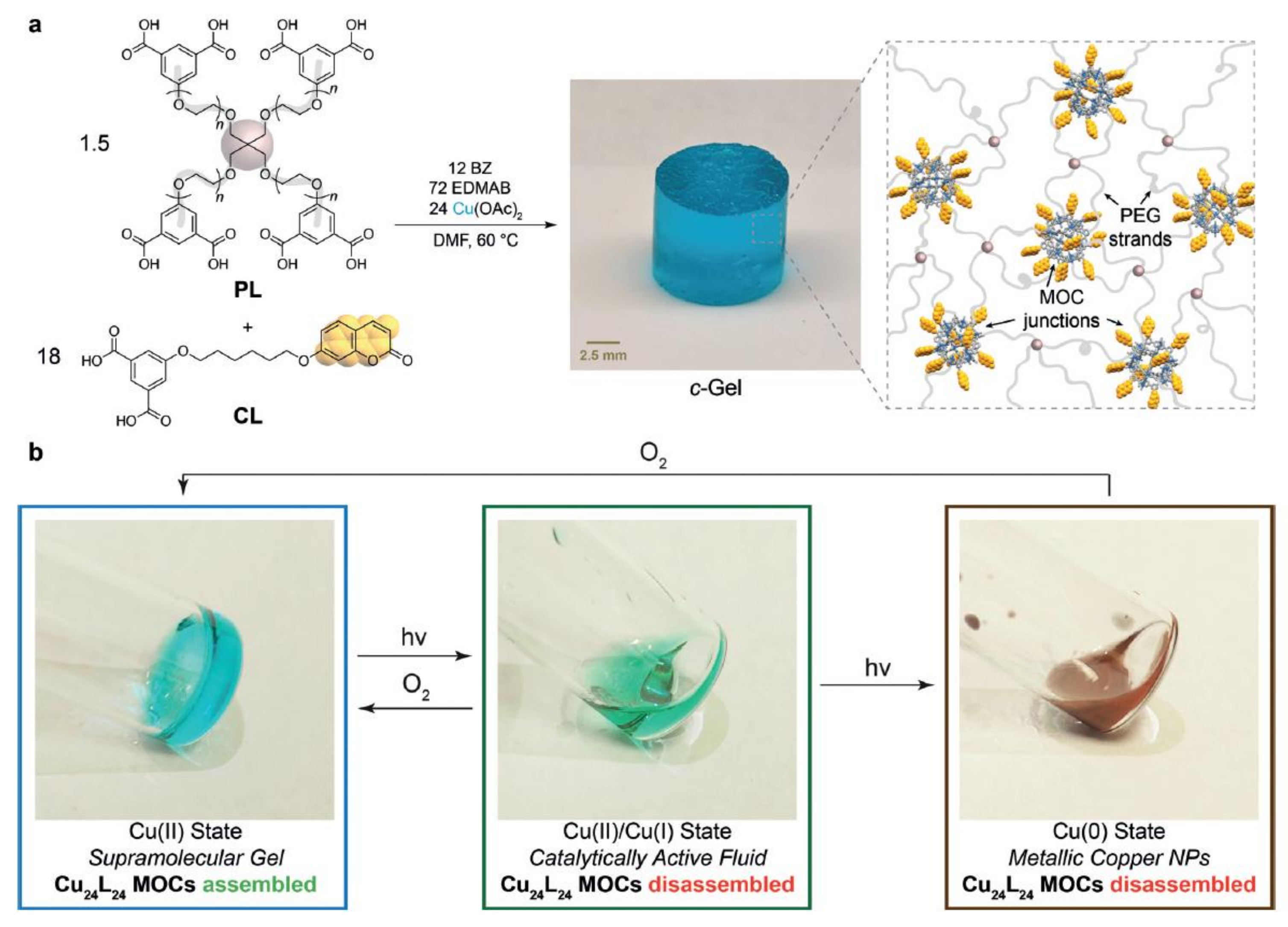 Polymers Free Full Text Recent Advances In Functional Polymers Containing Coumarin Chromophores Html