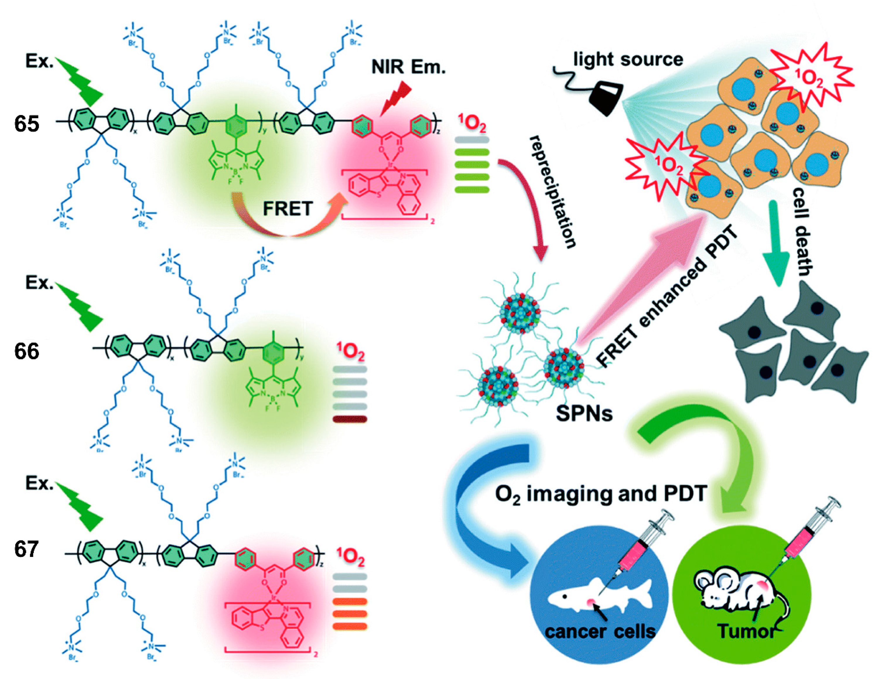 Polymers 13 00075 g022 Polymers 13 00075 g022