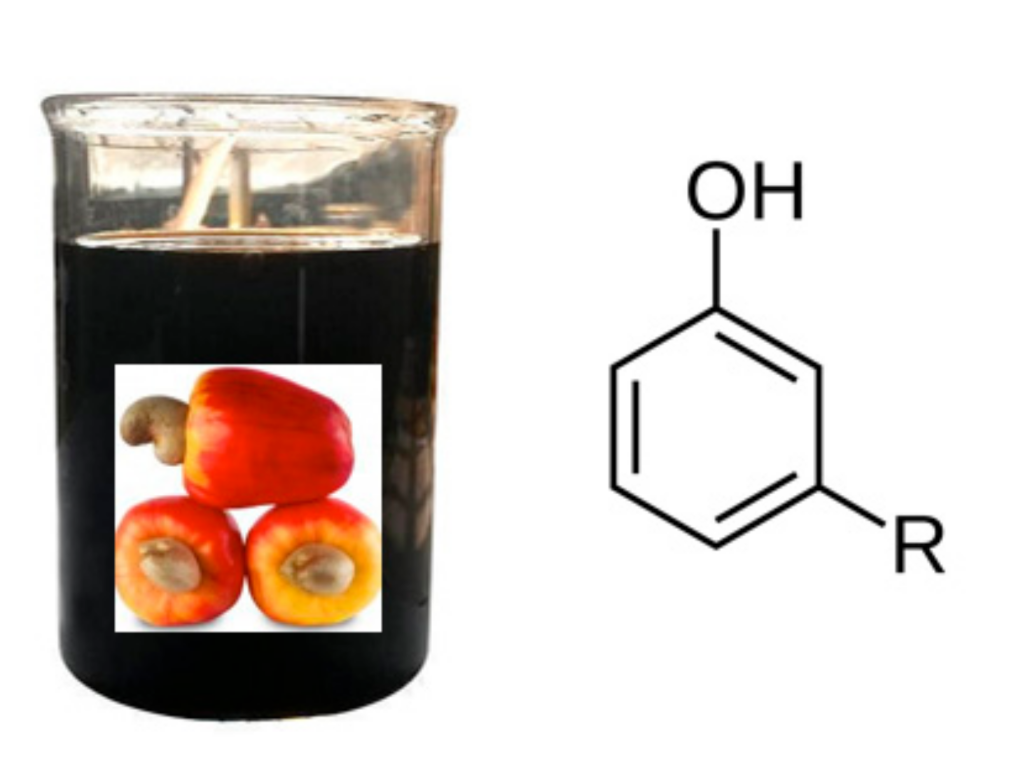 Polymers 13 00089 g006