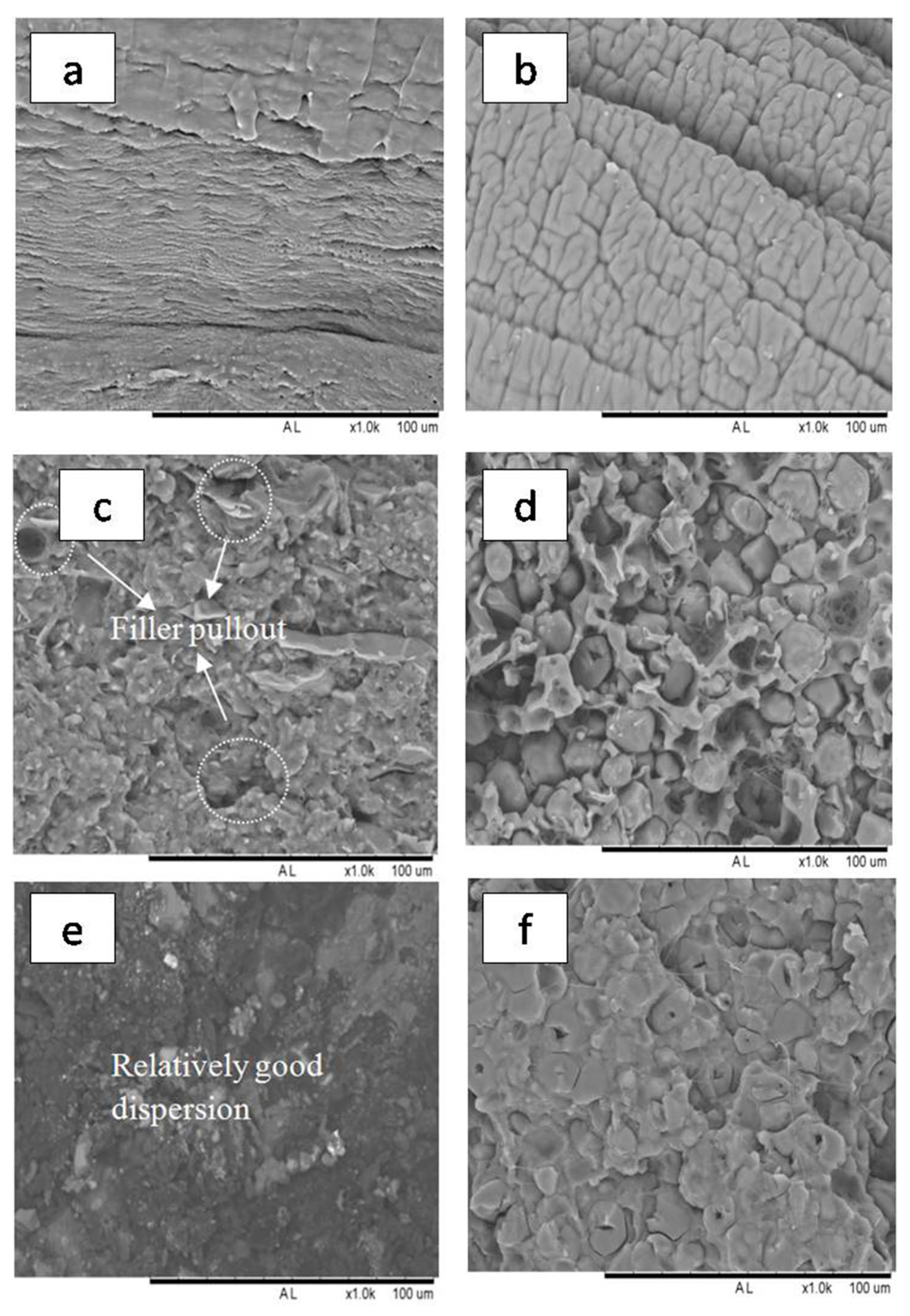 Polymers 13 00104 g006