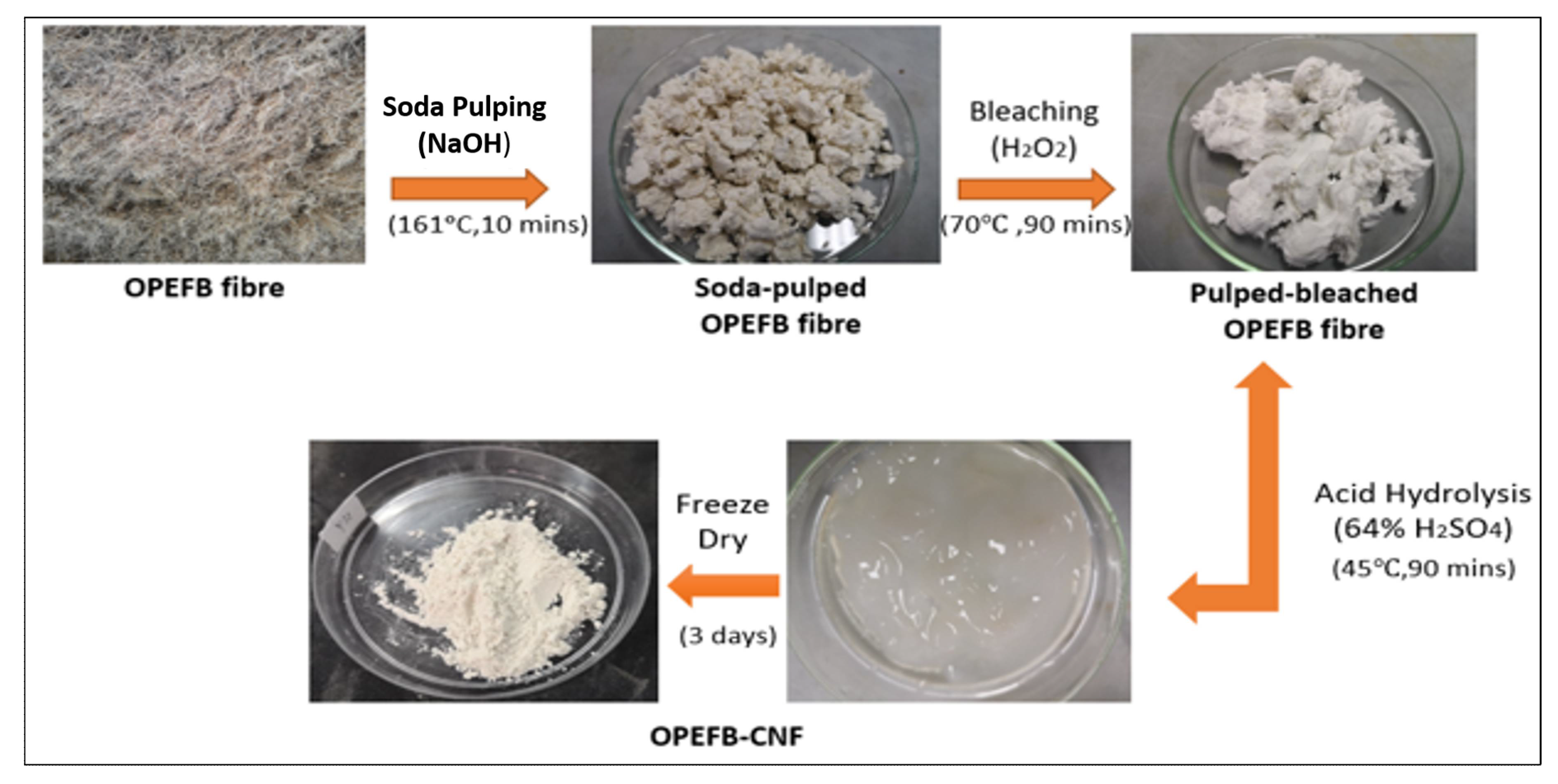 Polymers 13 00112 g001 Polymers 13 00112 g001