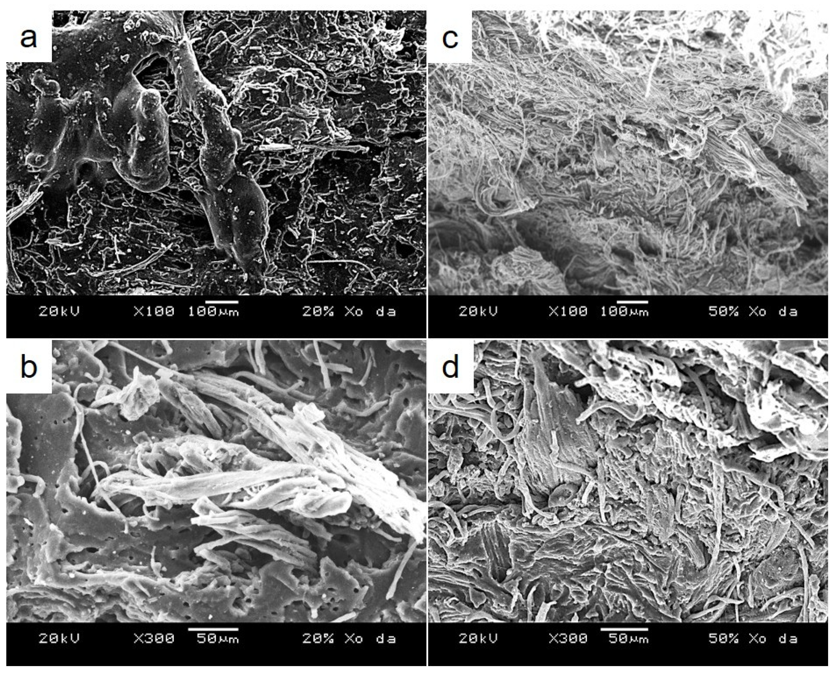 Polymers 13 00117 g006 Polymers 13 00117 g006
