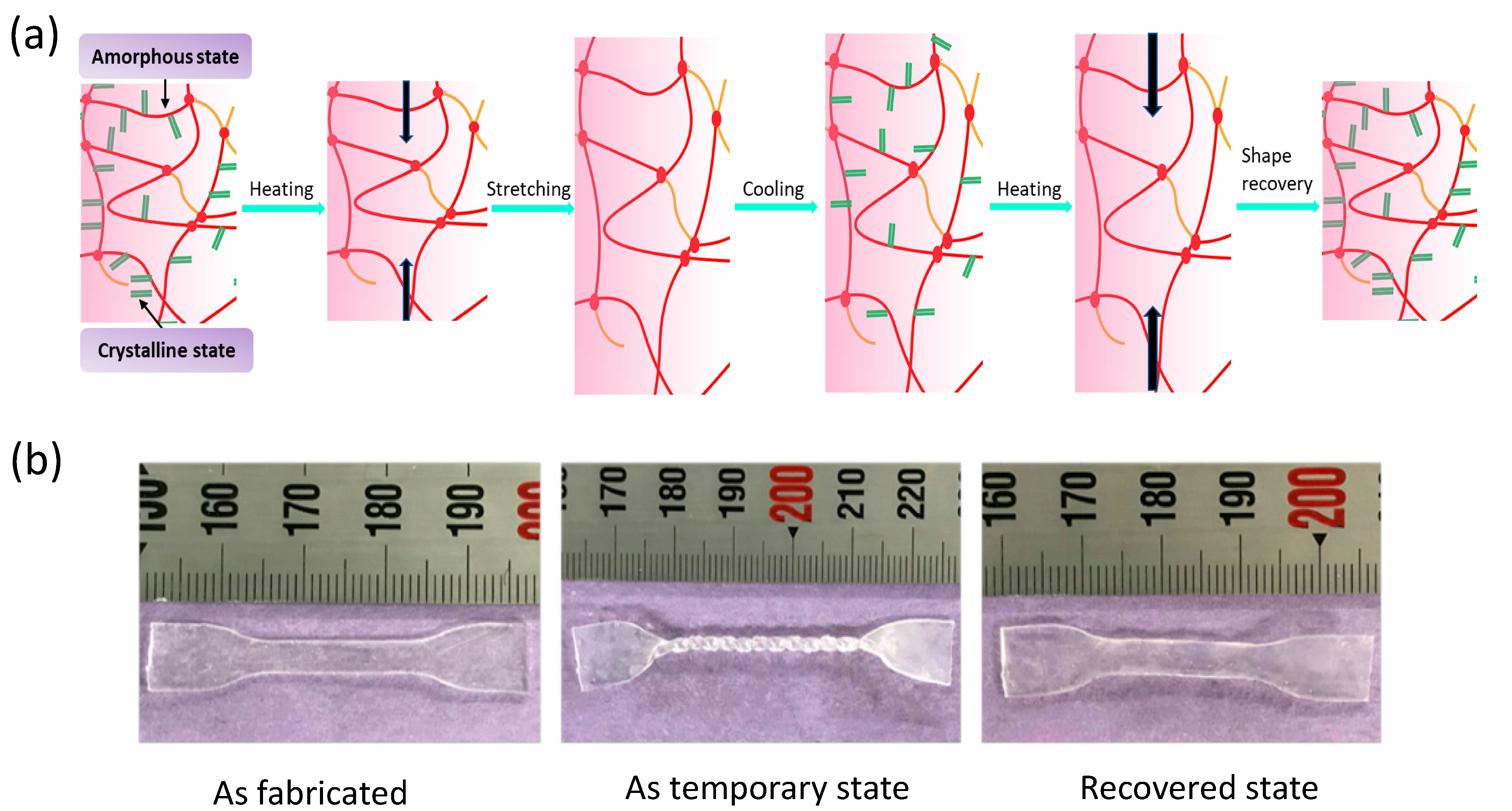 Polymers 13 00128 g001