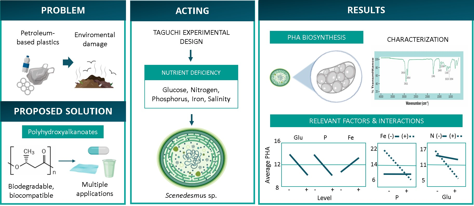 Polymers Free Full Text Accumulation Of Pha In The Microalgae Scenedesmus Sp Under Nutrient Deficient Conditions Html