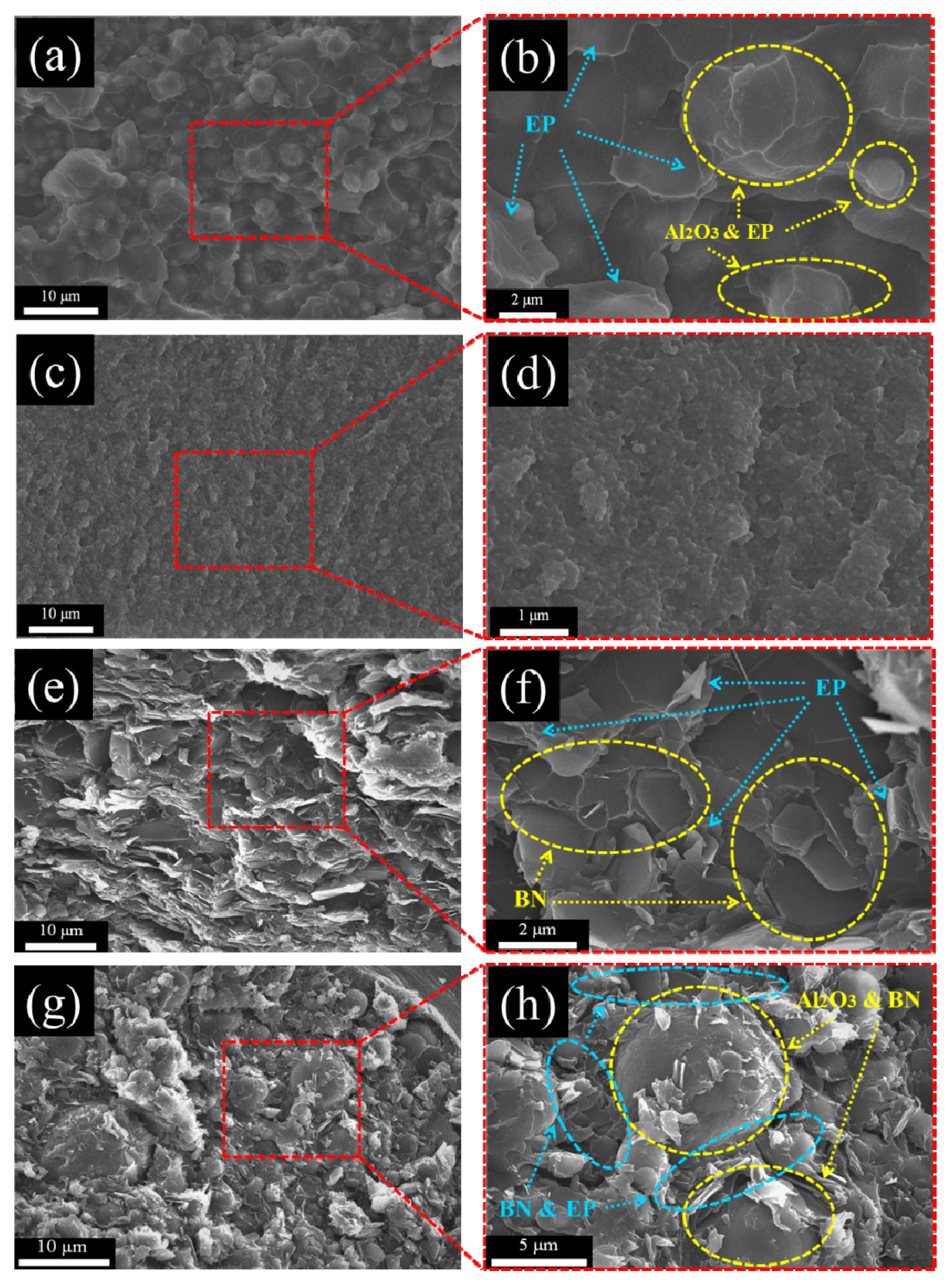Polymers 13 00147 g010