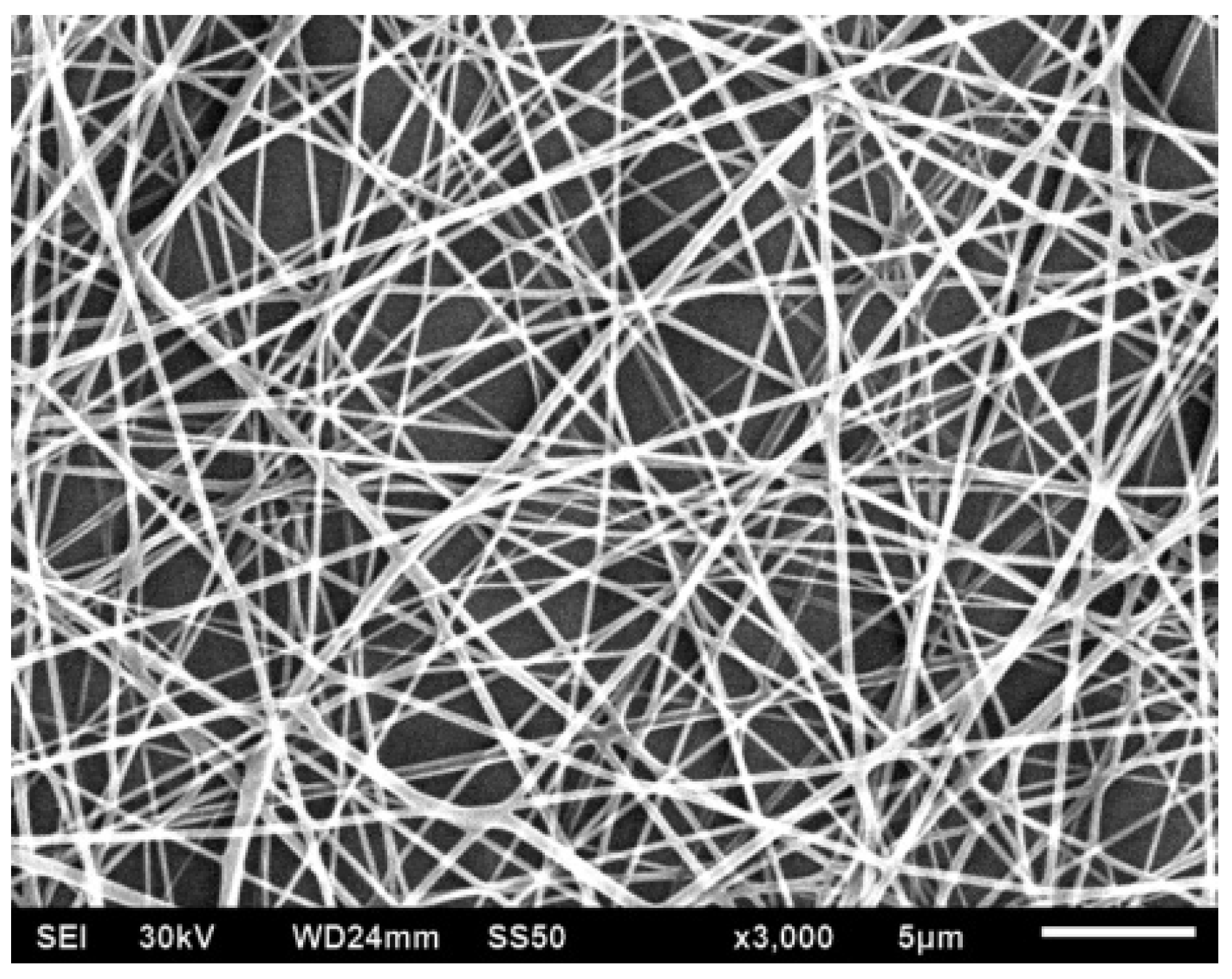 Polymers 13 00155 g010 Polymers 13 00155 g010