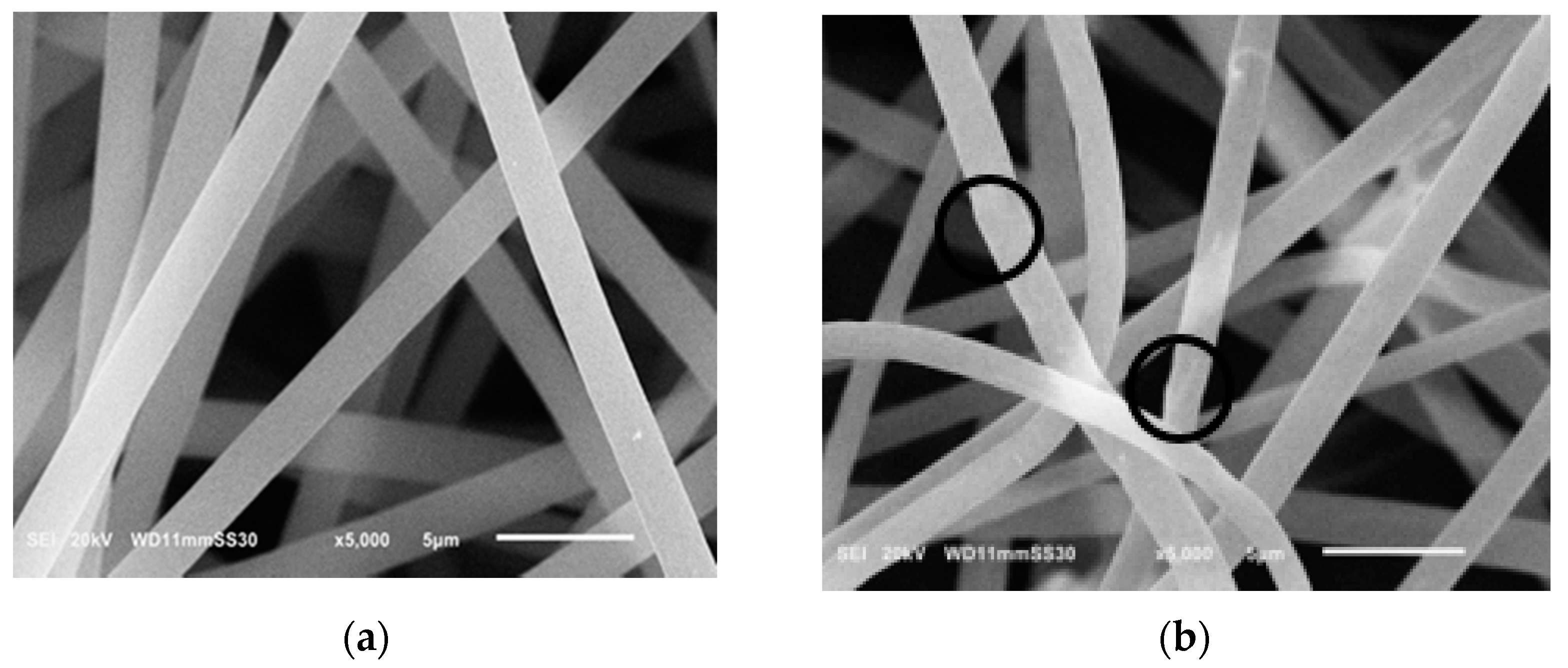Polymers 13 00160 g001