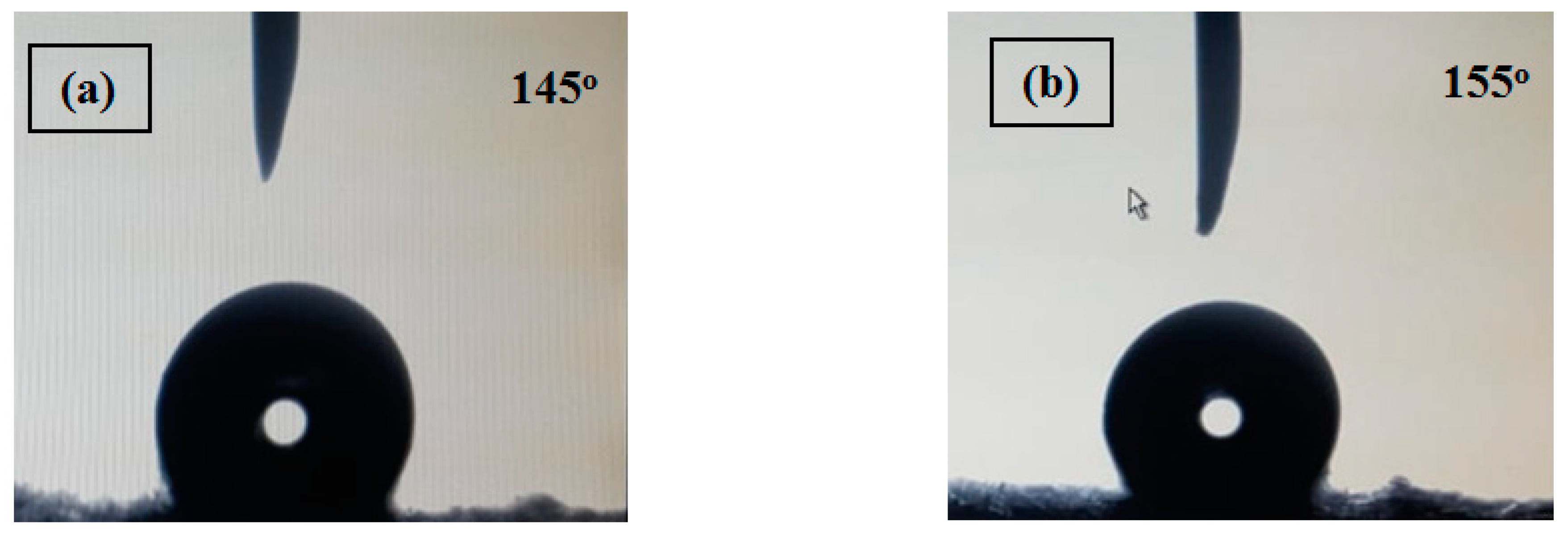 Polymers 13 00160 g002