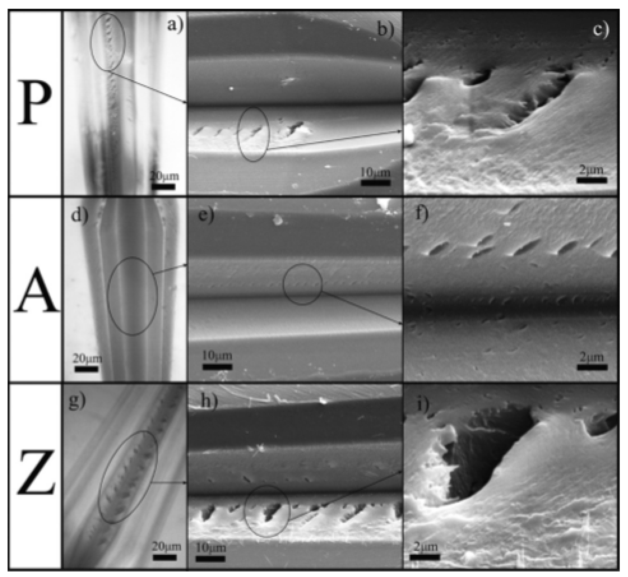 Polymers 13 00179 g003