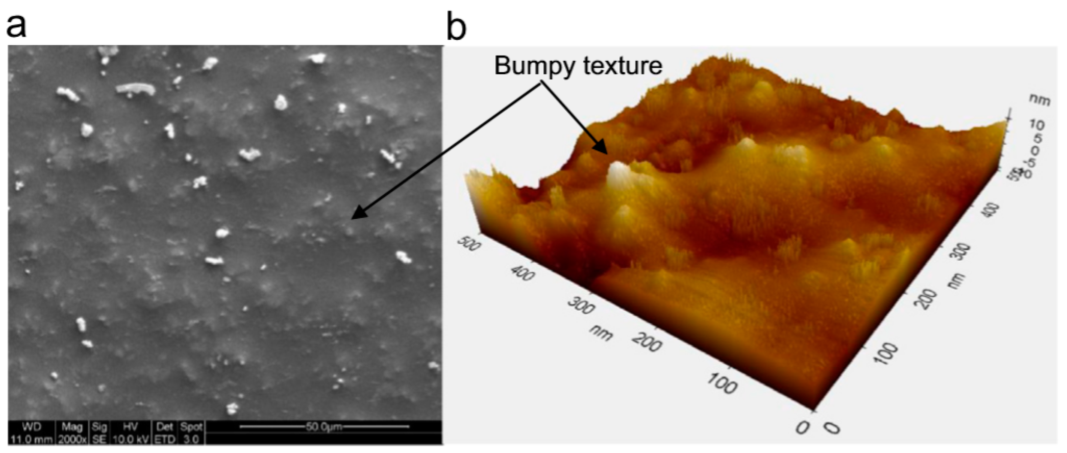 Polymers 13 00179 g005