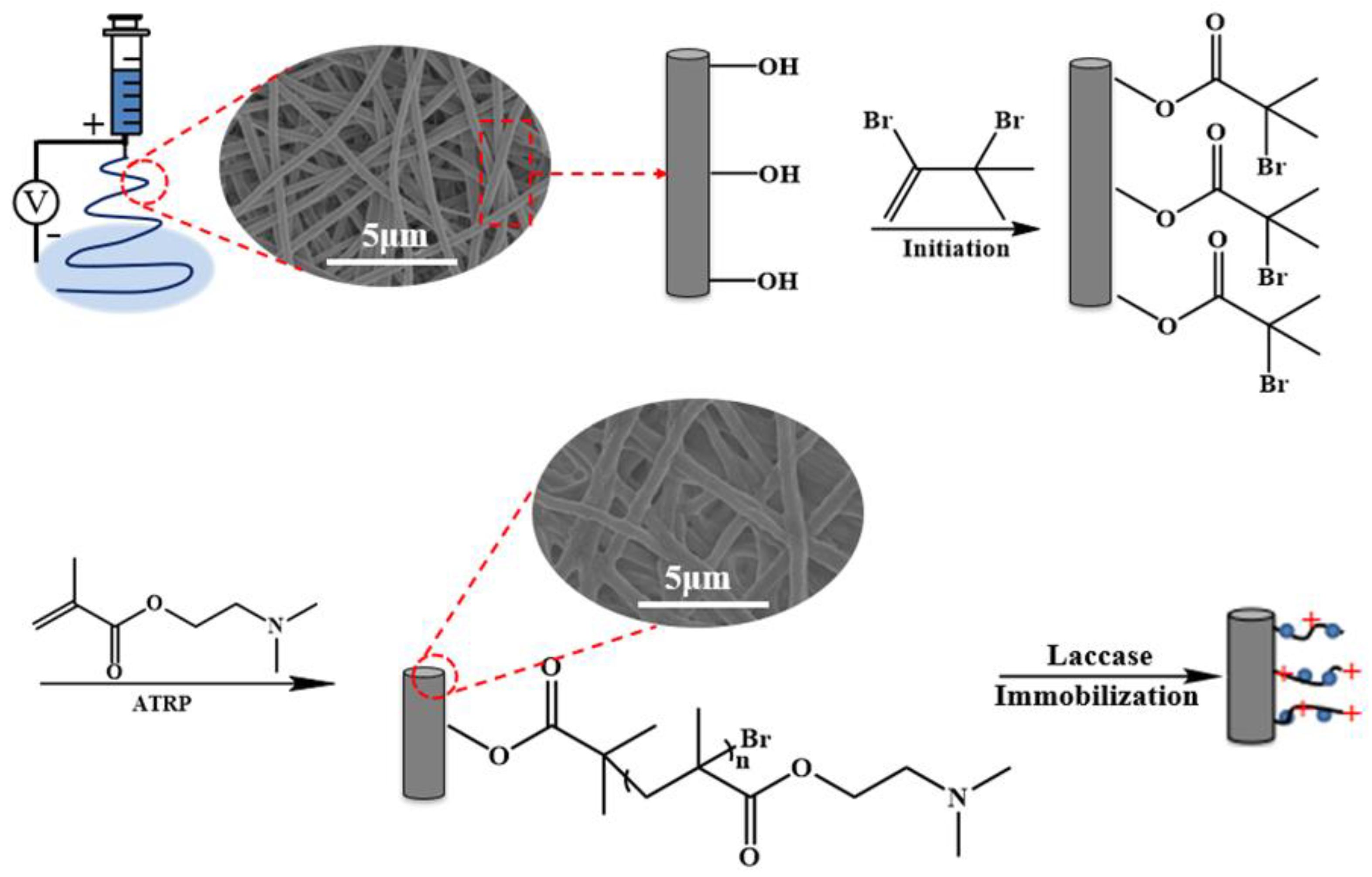 Polymers 13 00182 g001 Polymers 13 00182 g001