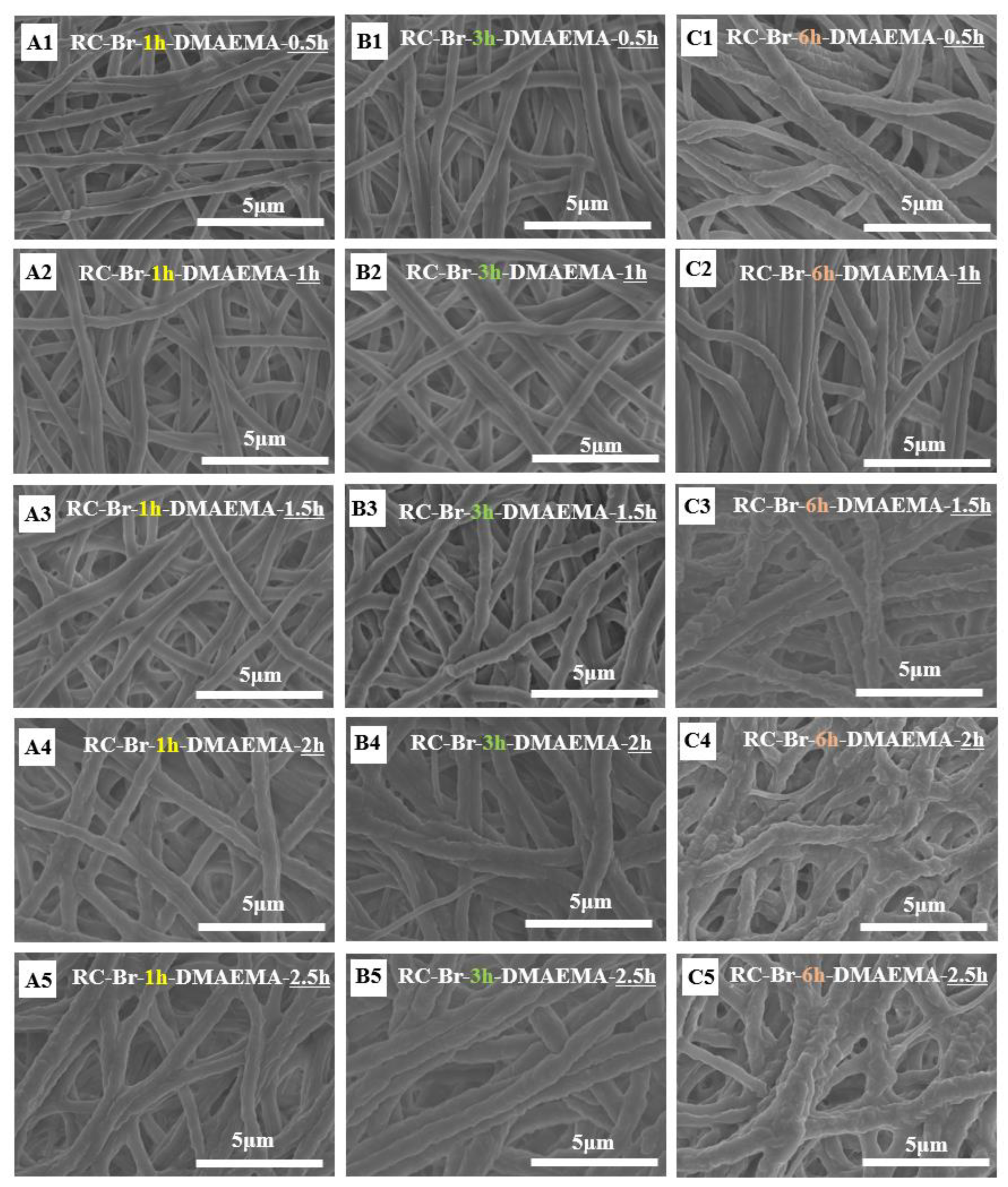 Polymers 13 00182 g006 Polymers 13 00182 g006