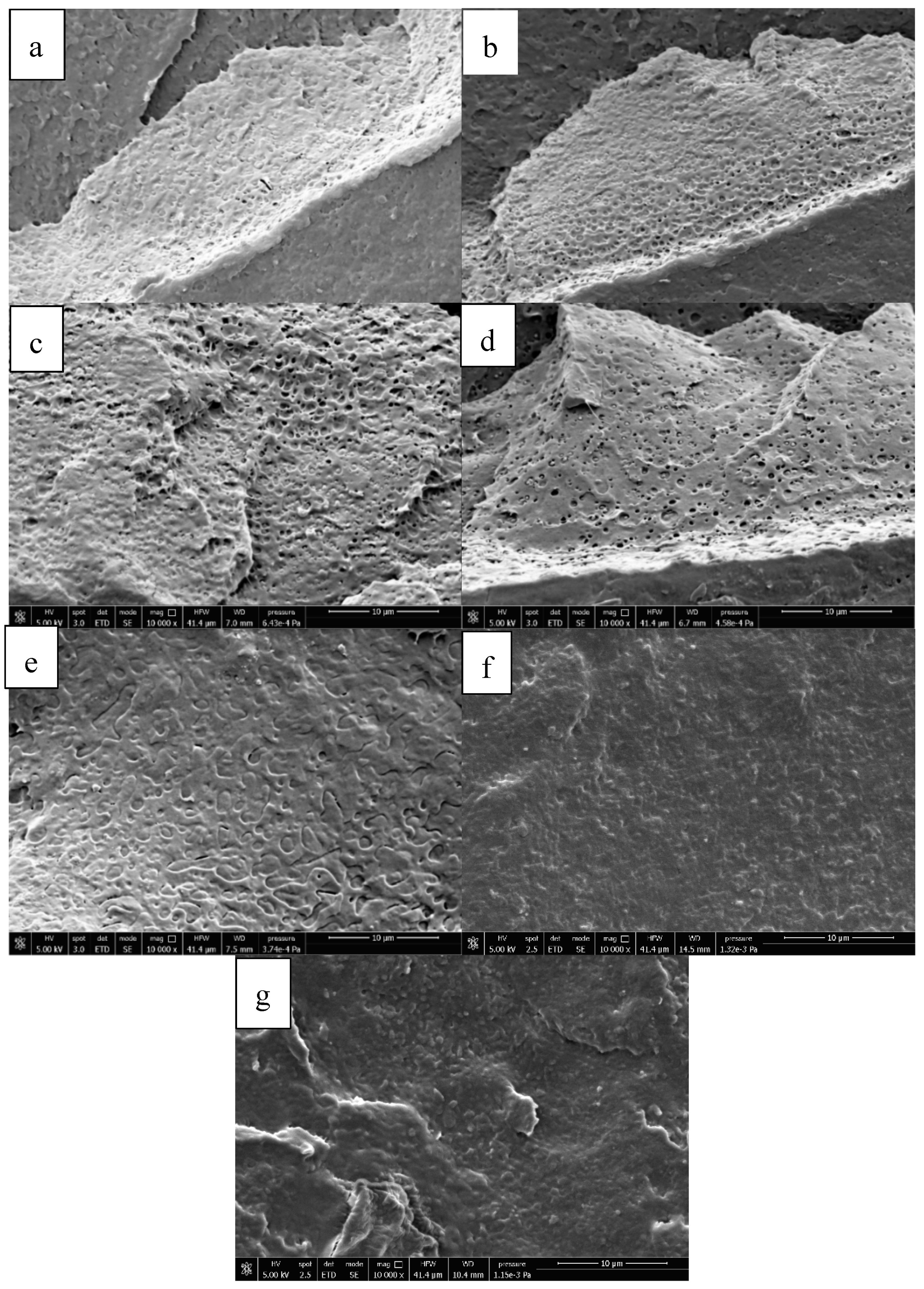 Polymers 13 00218 g004