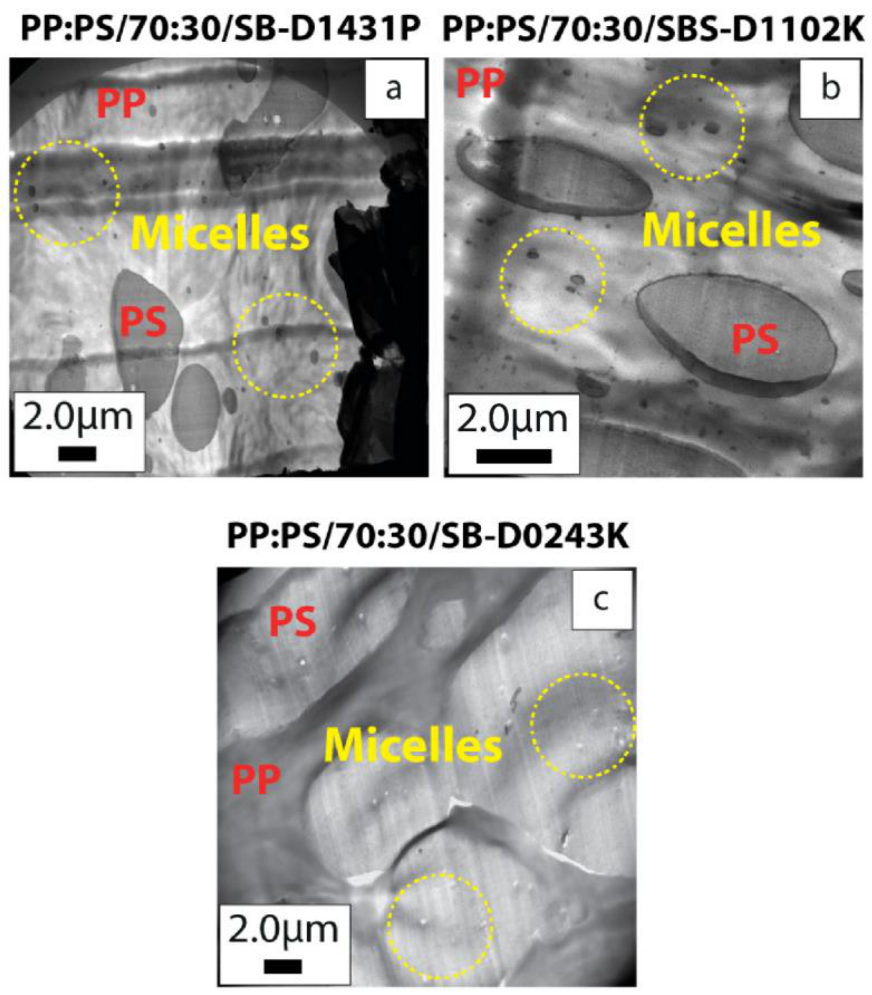 Polymers 13 00230 g008