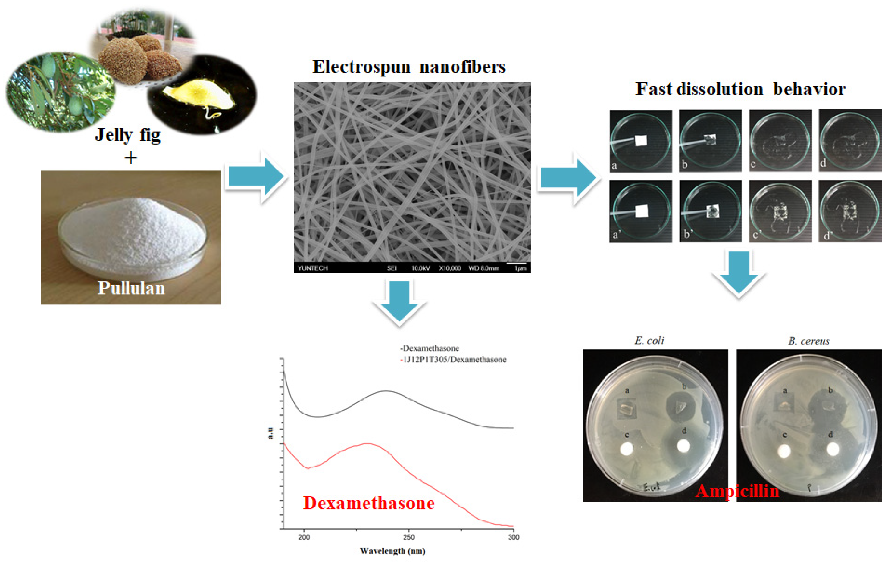 Polymers 13 00241 sch001