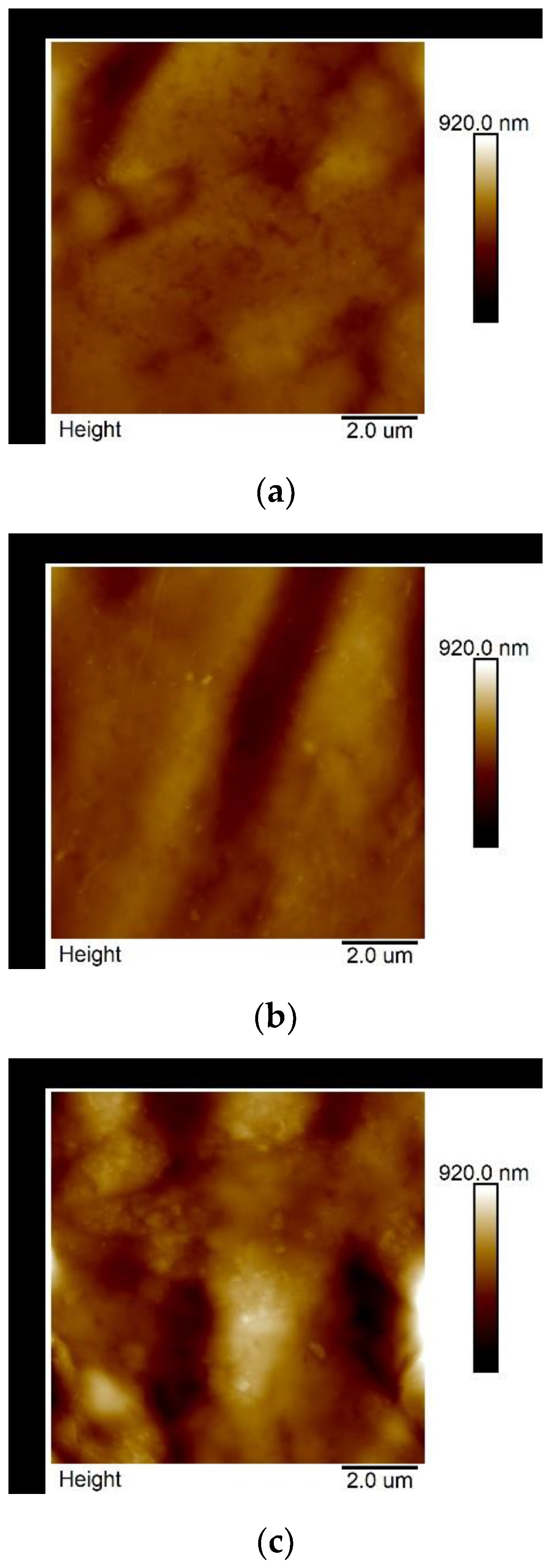 Polymers Free Full Text The Quantitative Nanomechanical Mapping Of Starch Kaolin Film Surfaces By Peak Force Afm Html