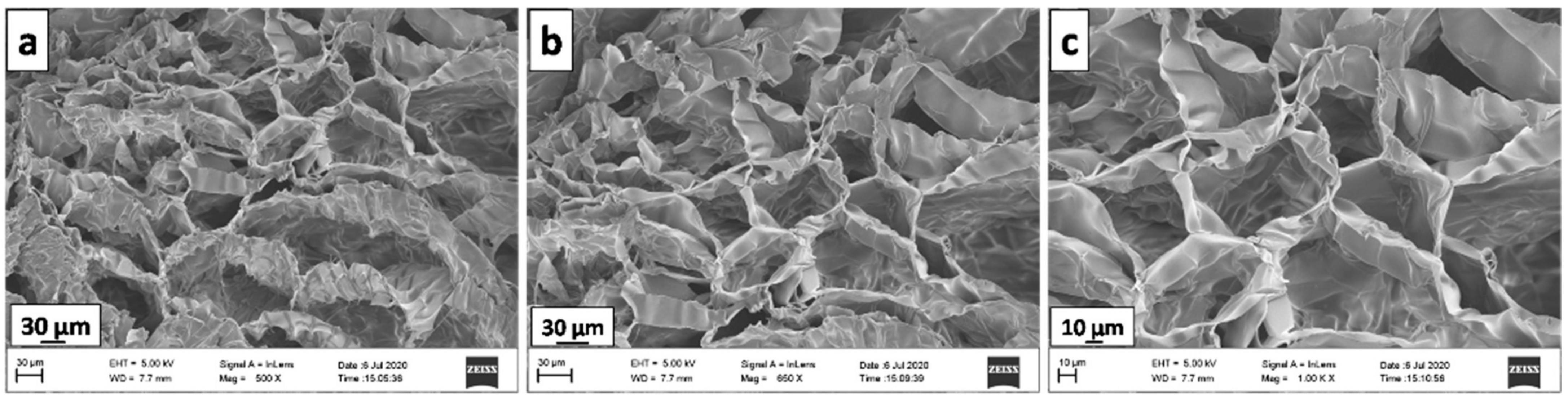 Polymers 13 00251 g003