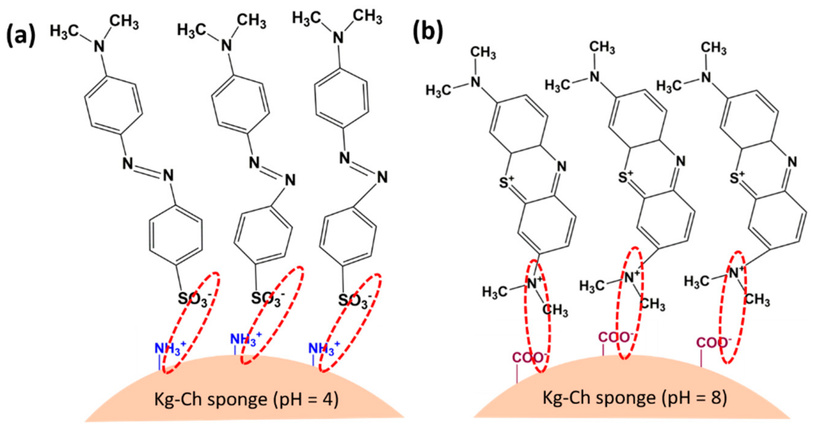 Polymers 13 00251 g012