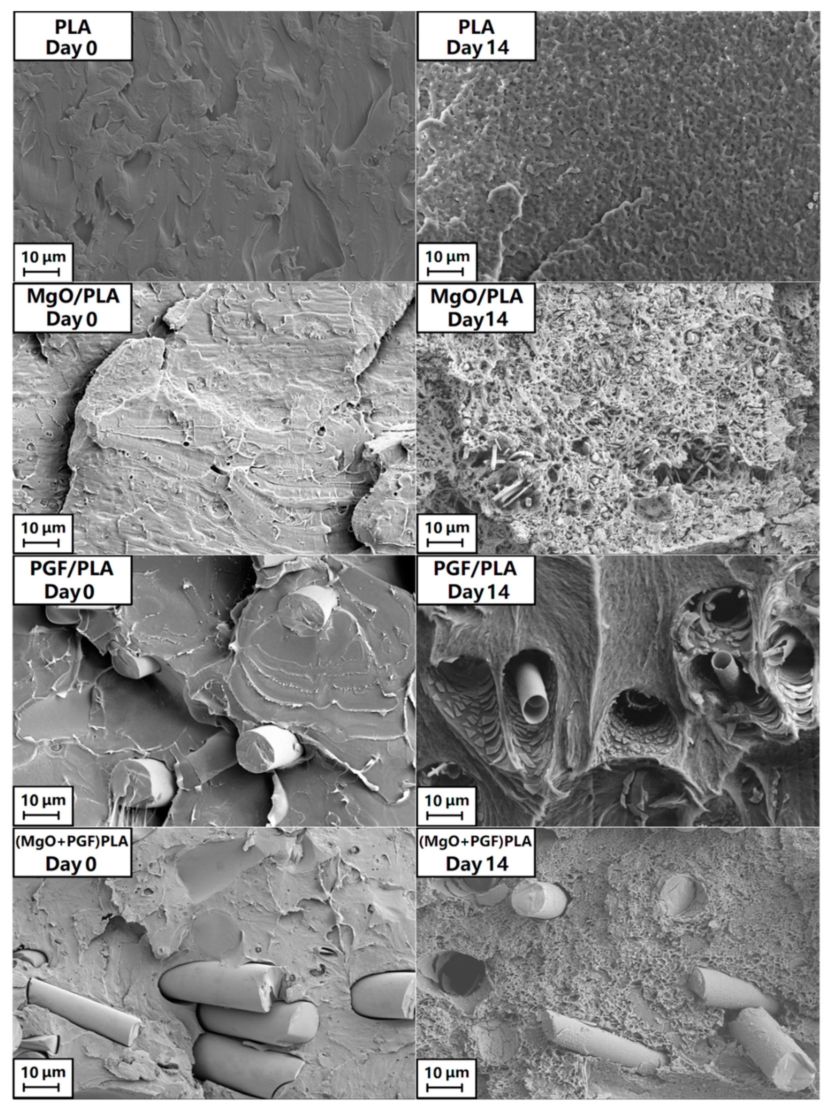 Polymers 13 00270 g006