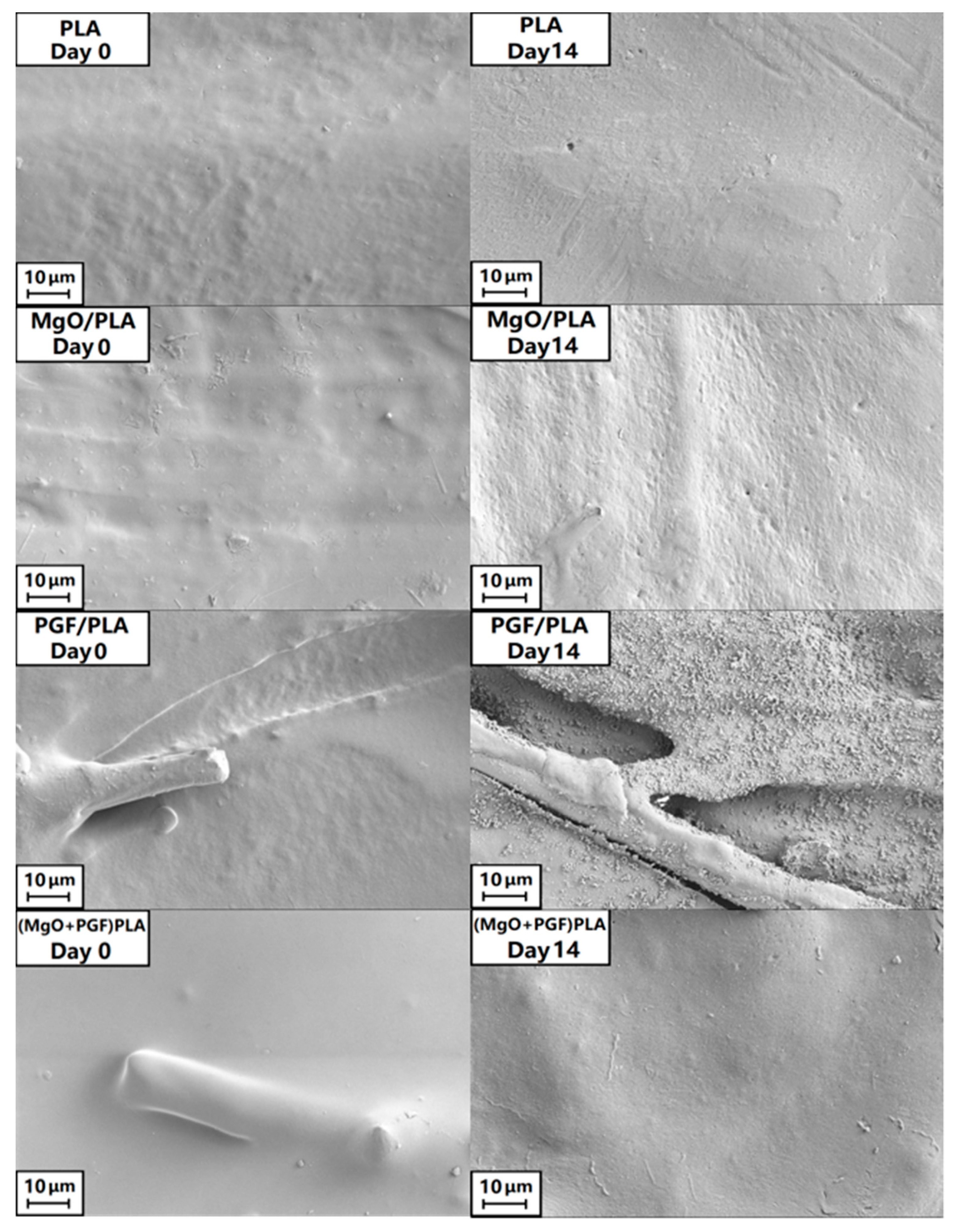 Polymers 13 00270 g007