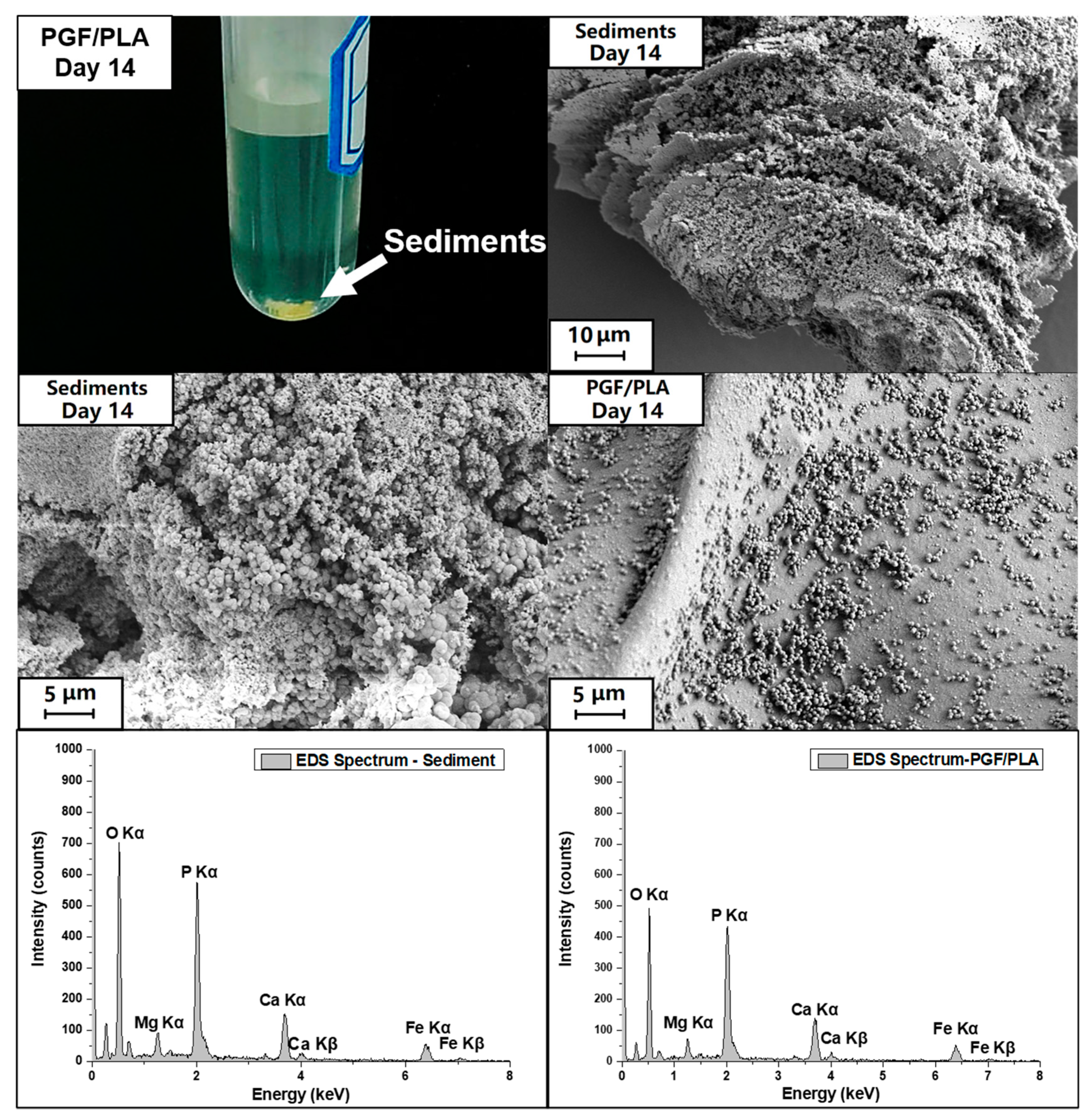 Polymers 13 00270 g008